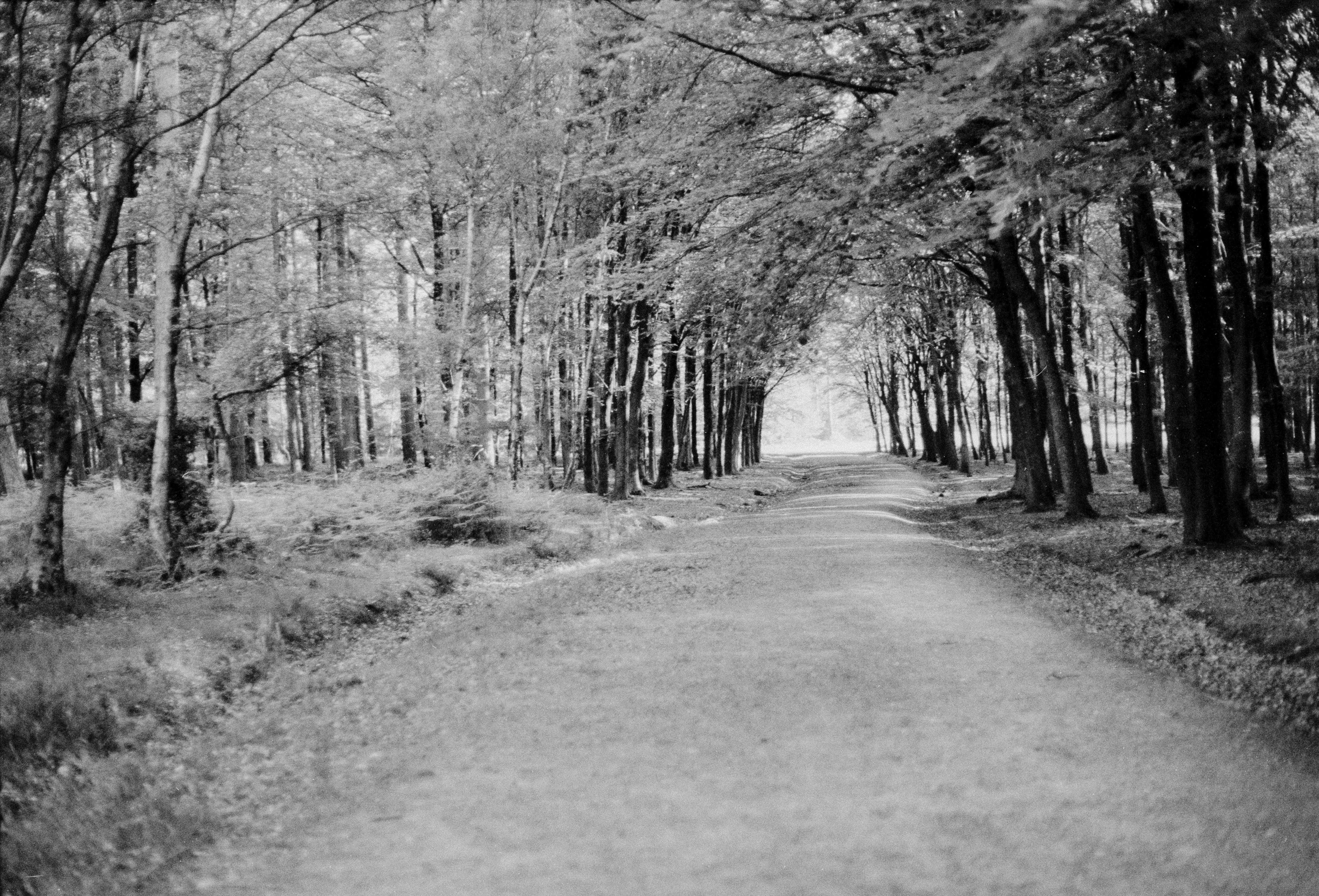 Photo by anniespratt