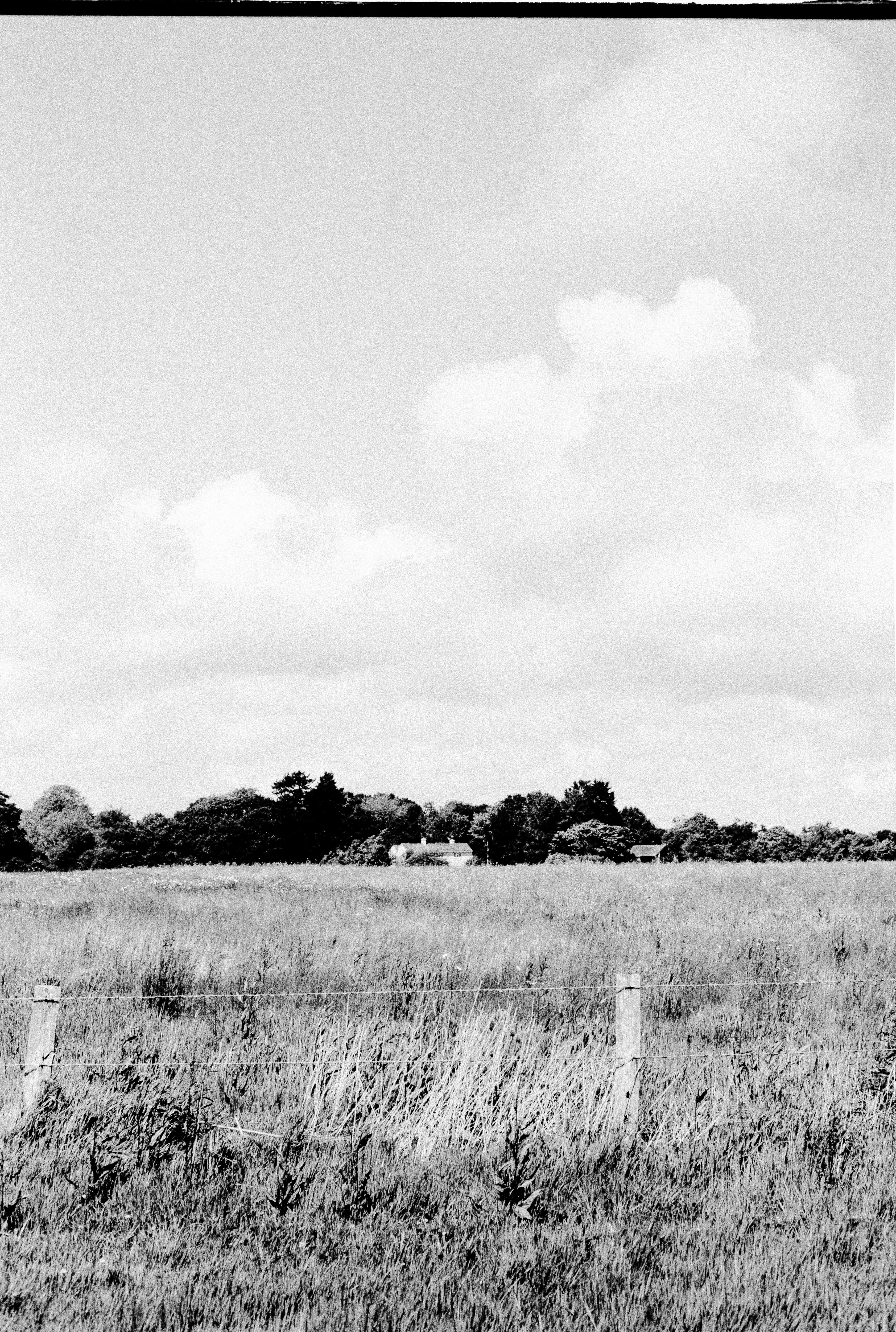 Photo by anniespratt