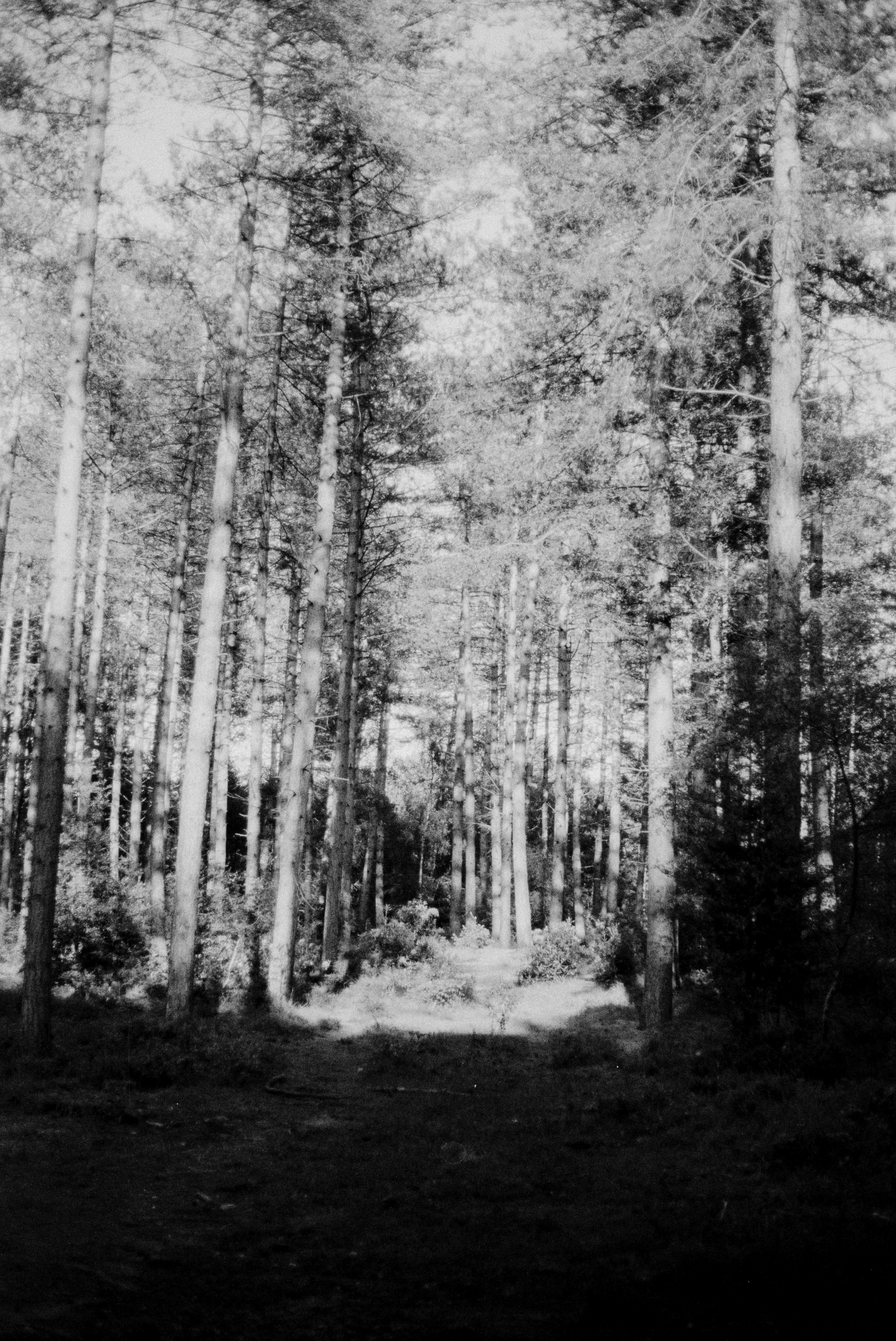 Photo by anniespratt