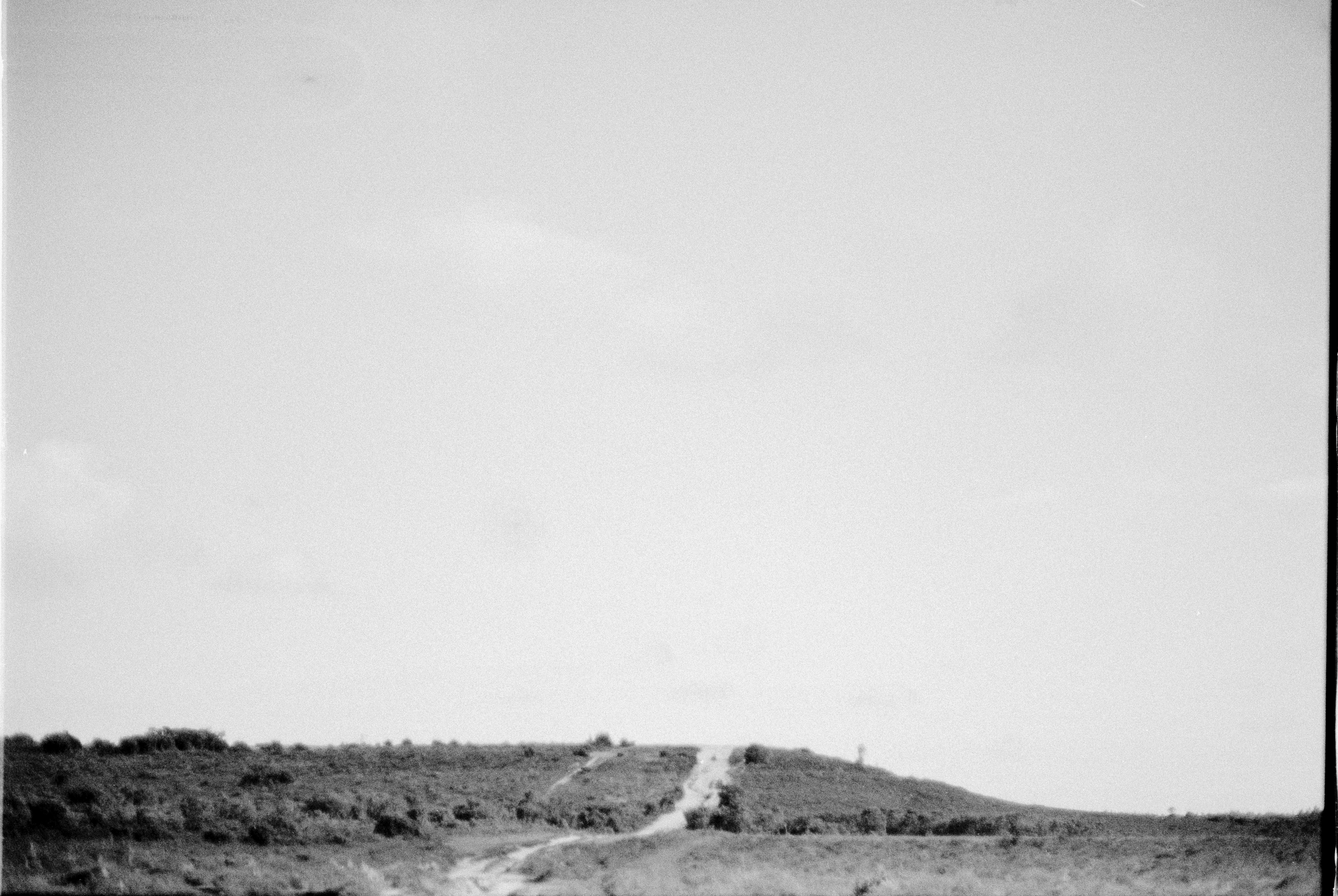 Photo by anniespratt