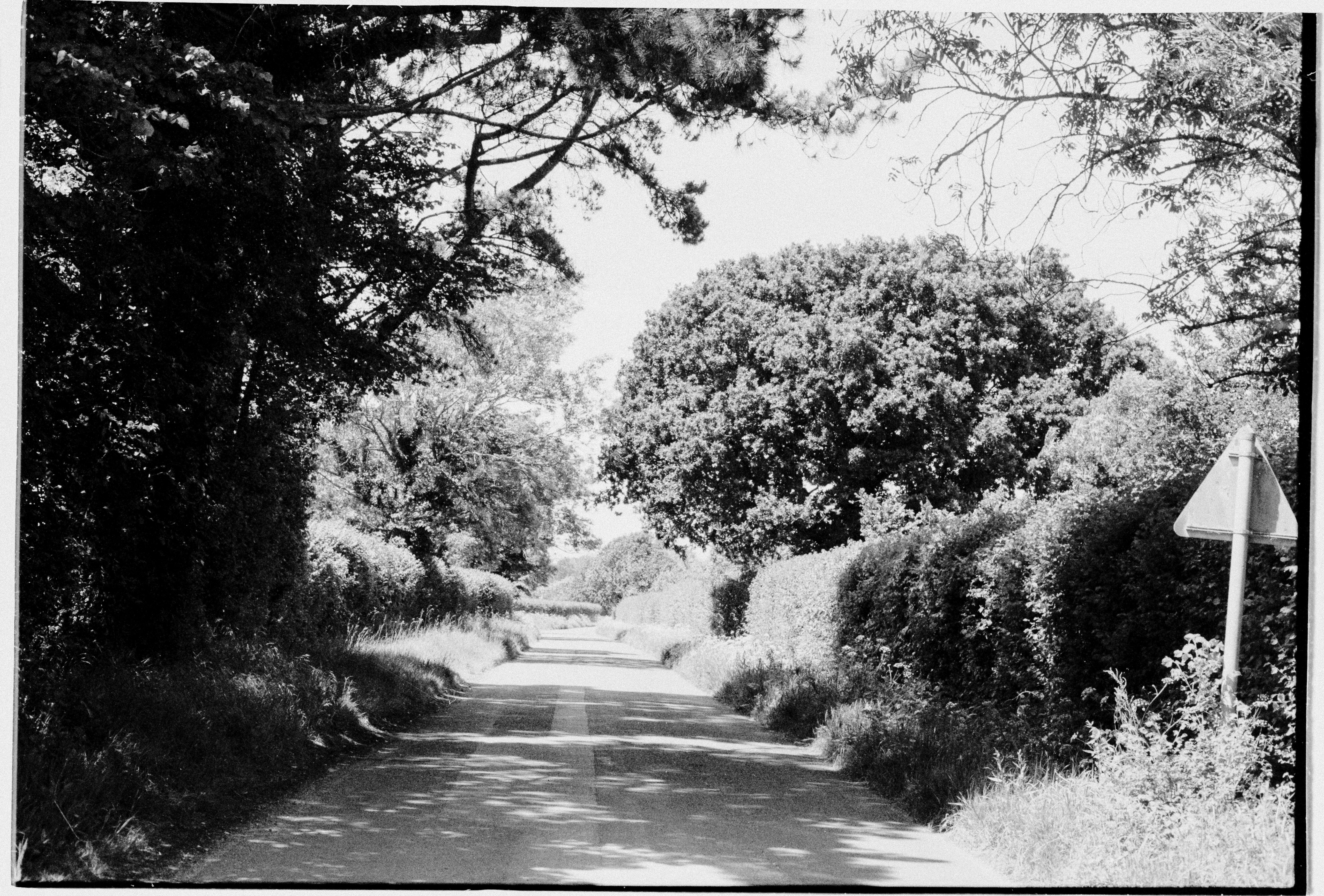 Photo by anniespratt