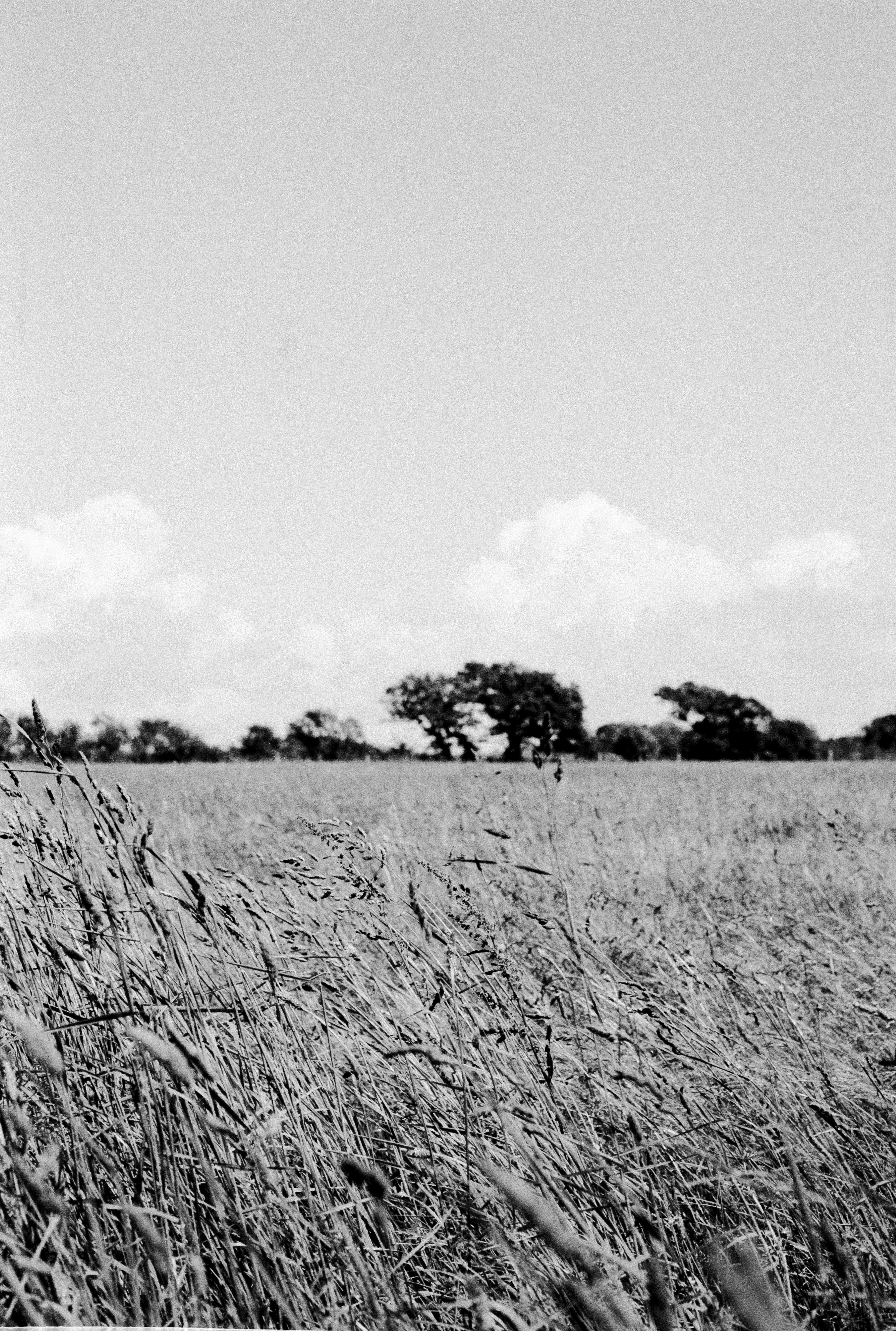 Photo by anniespratt