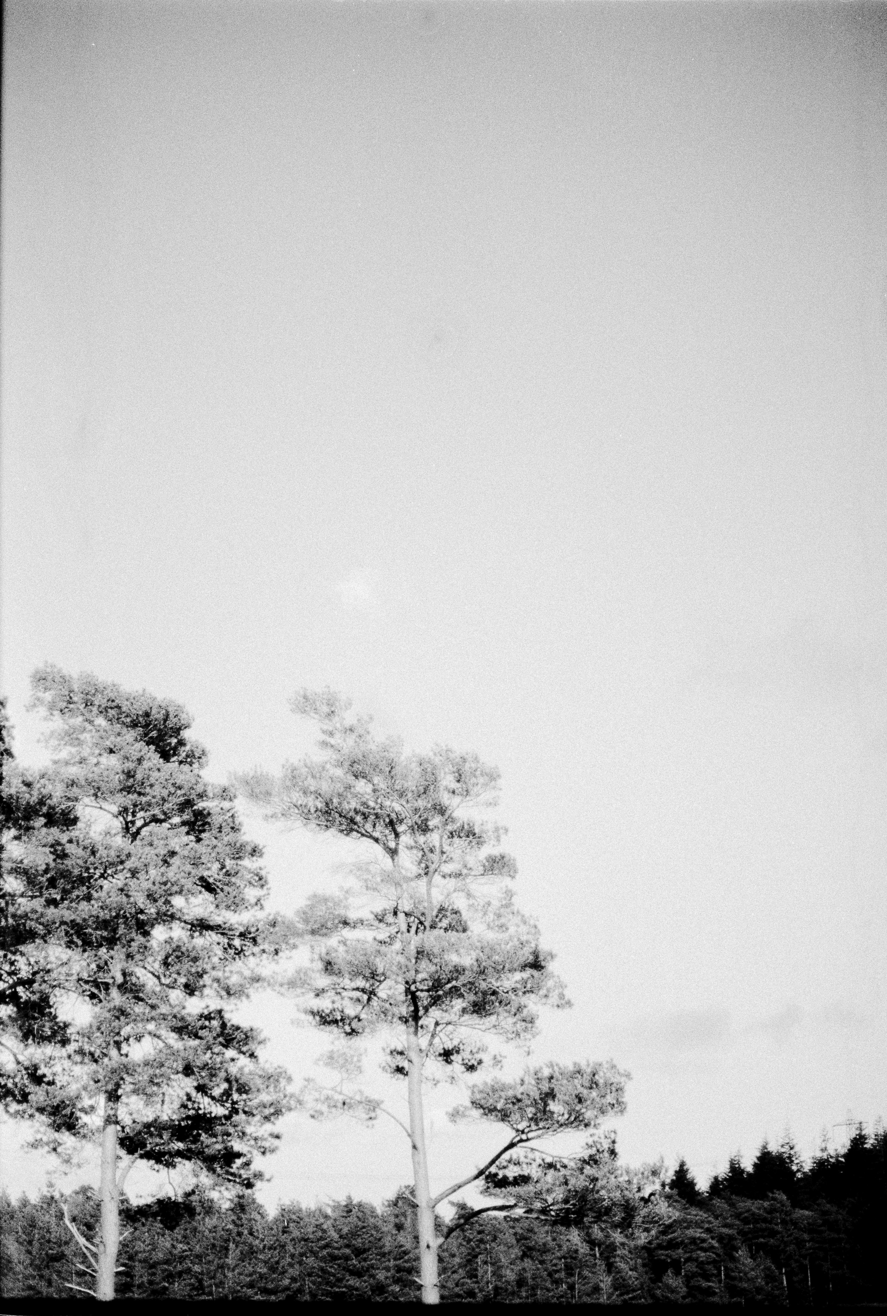 Photo by anniespratt