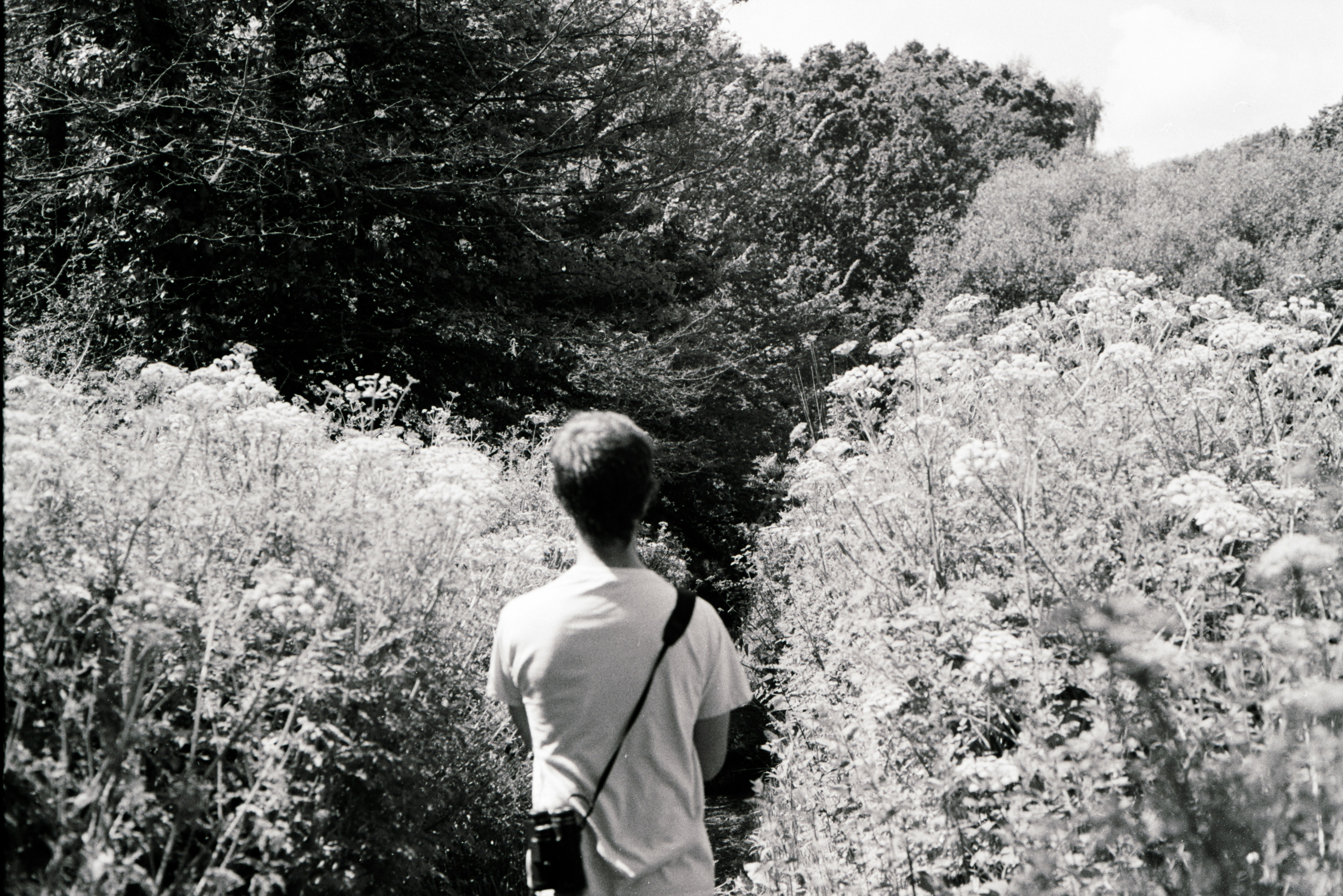 Photo by anniespratt
