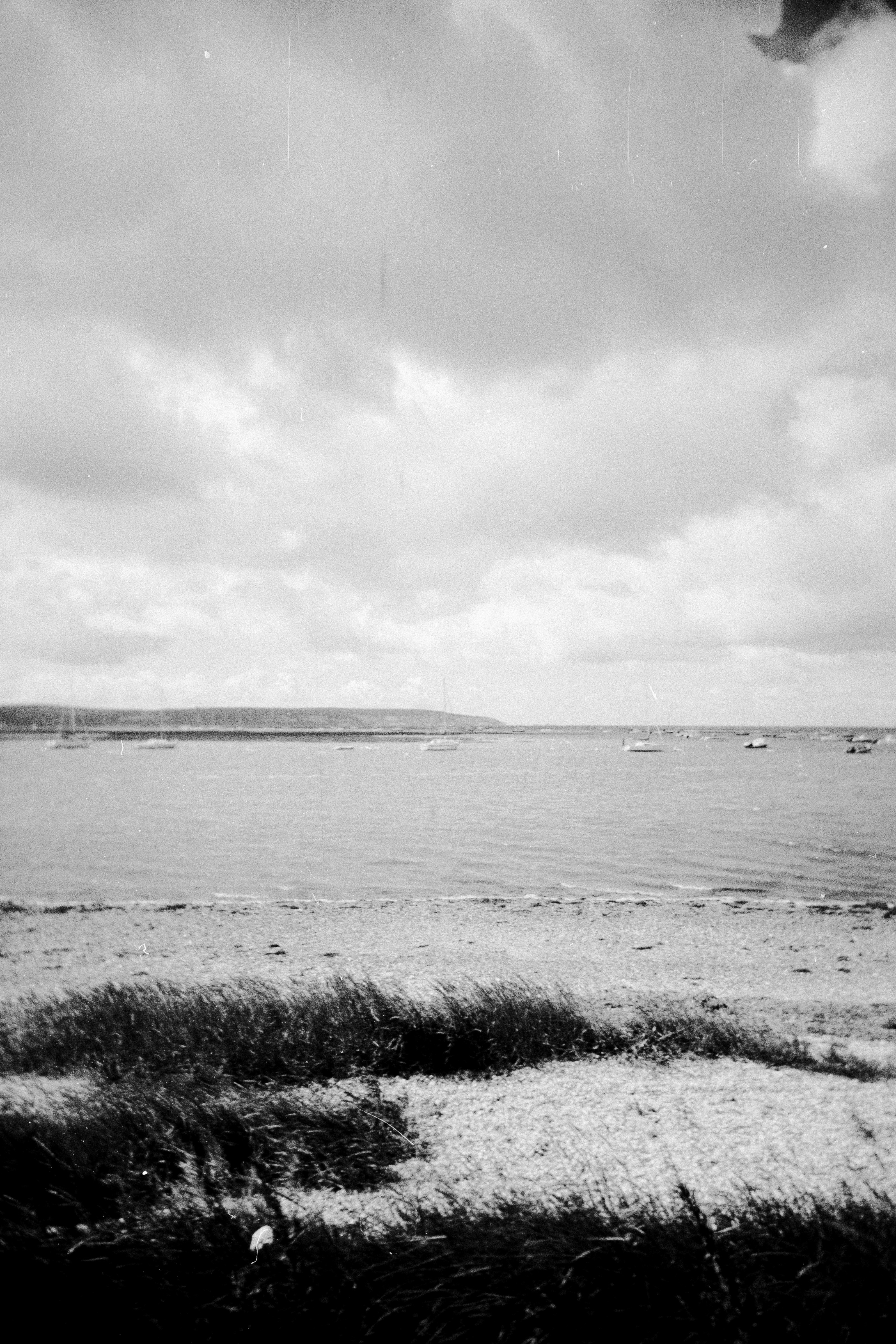 Photo by anniespratt