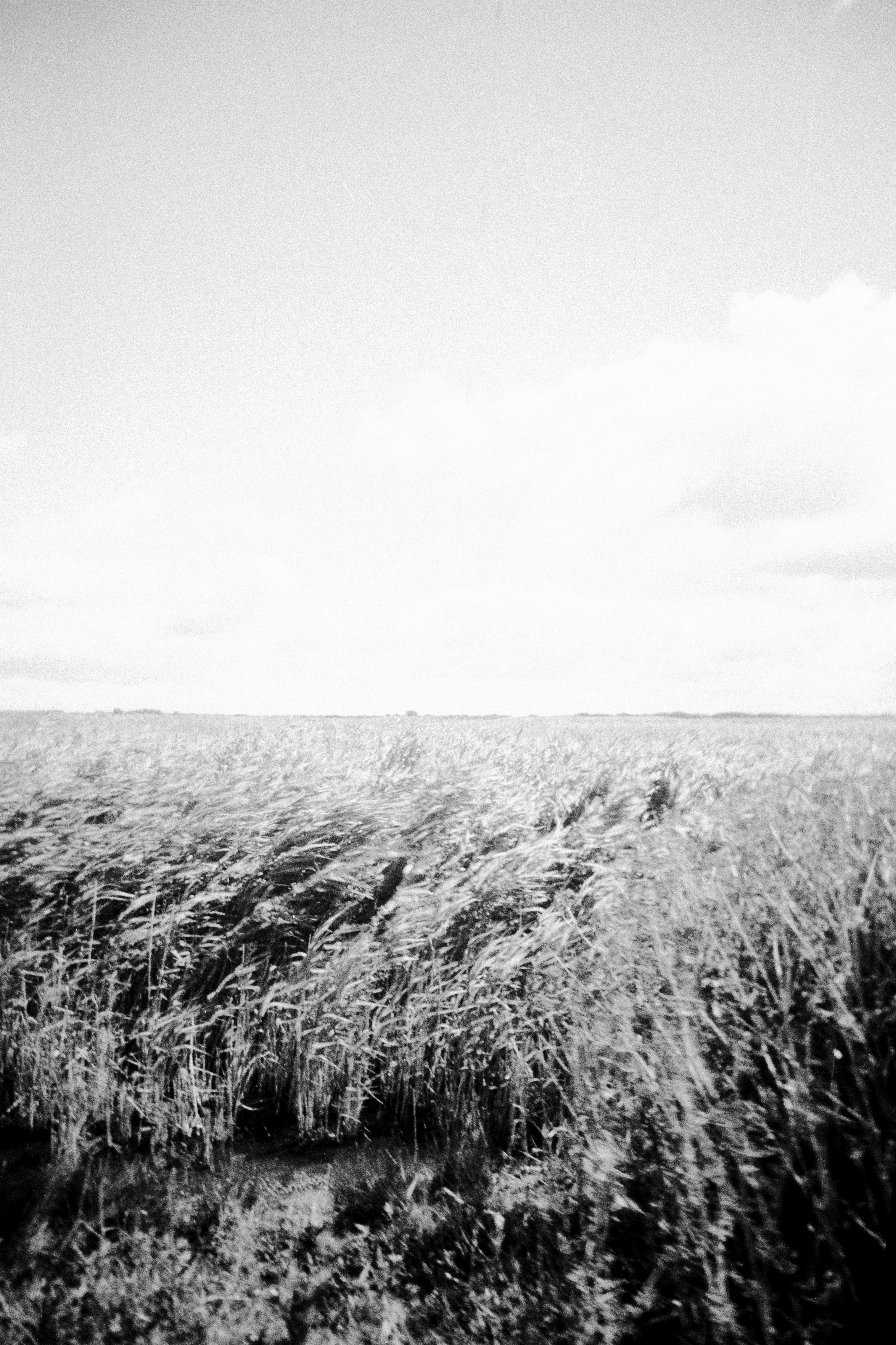 Photo by anniespratt