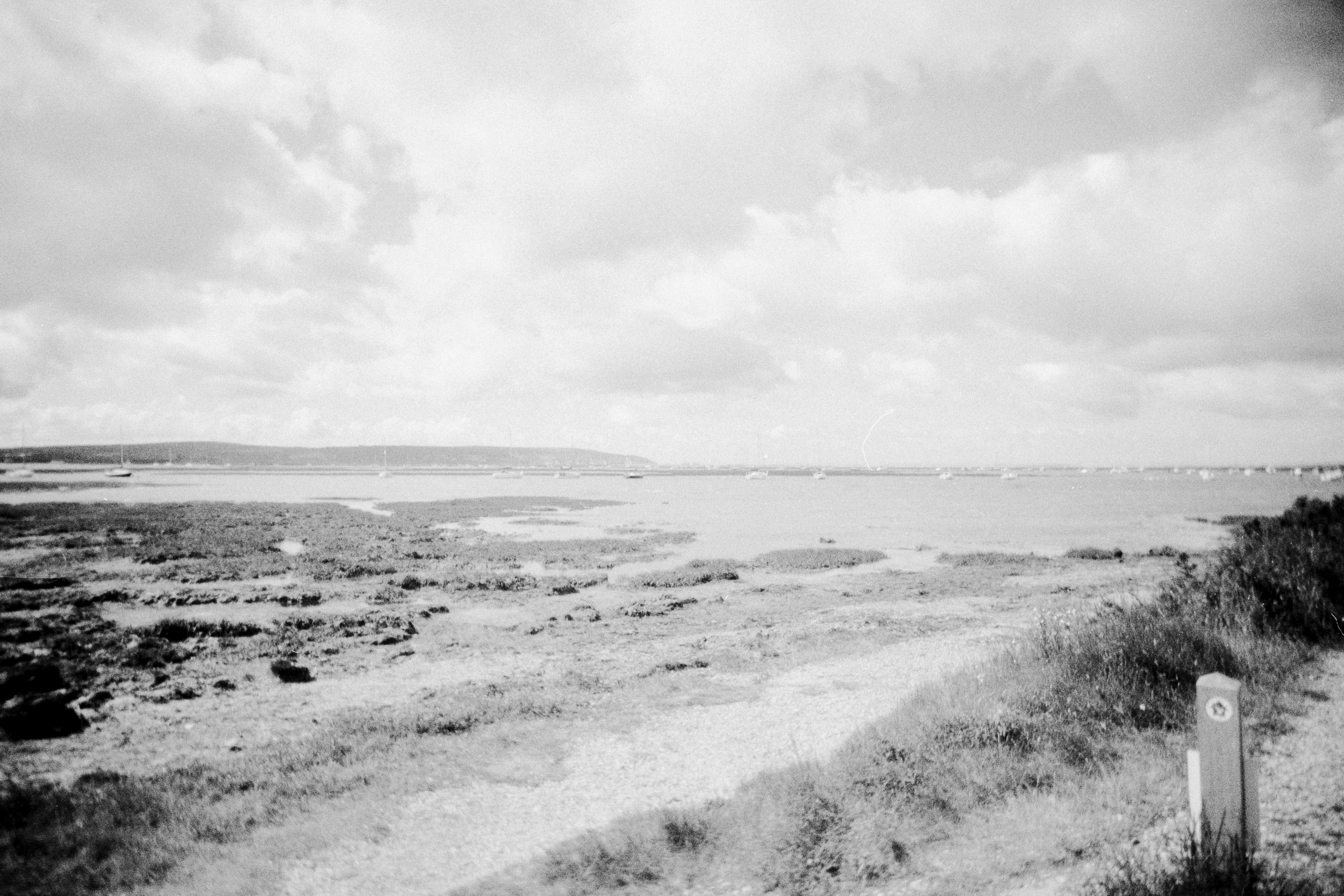 Photo by anniespratt