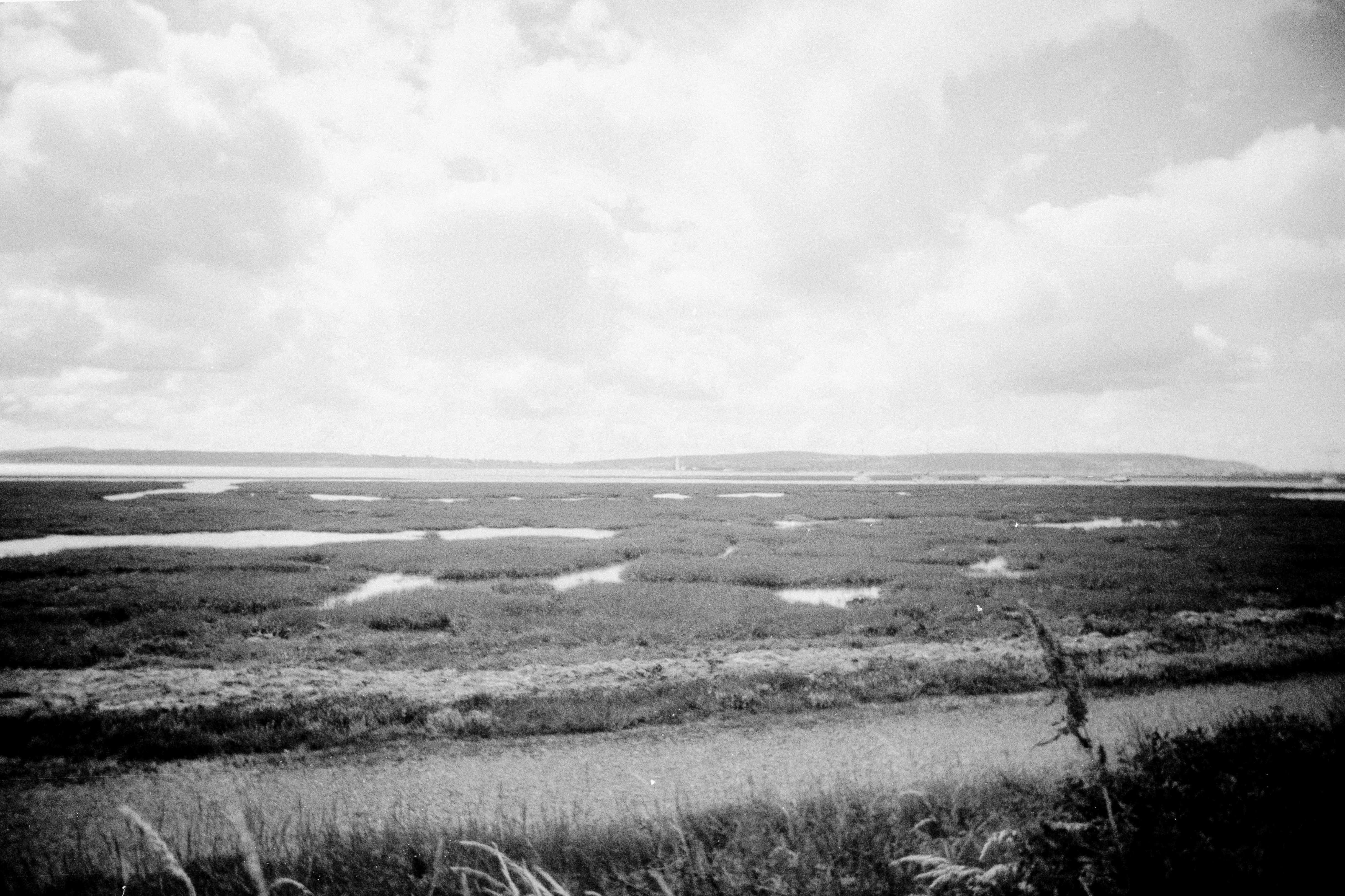 Photo by anniespratt