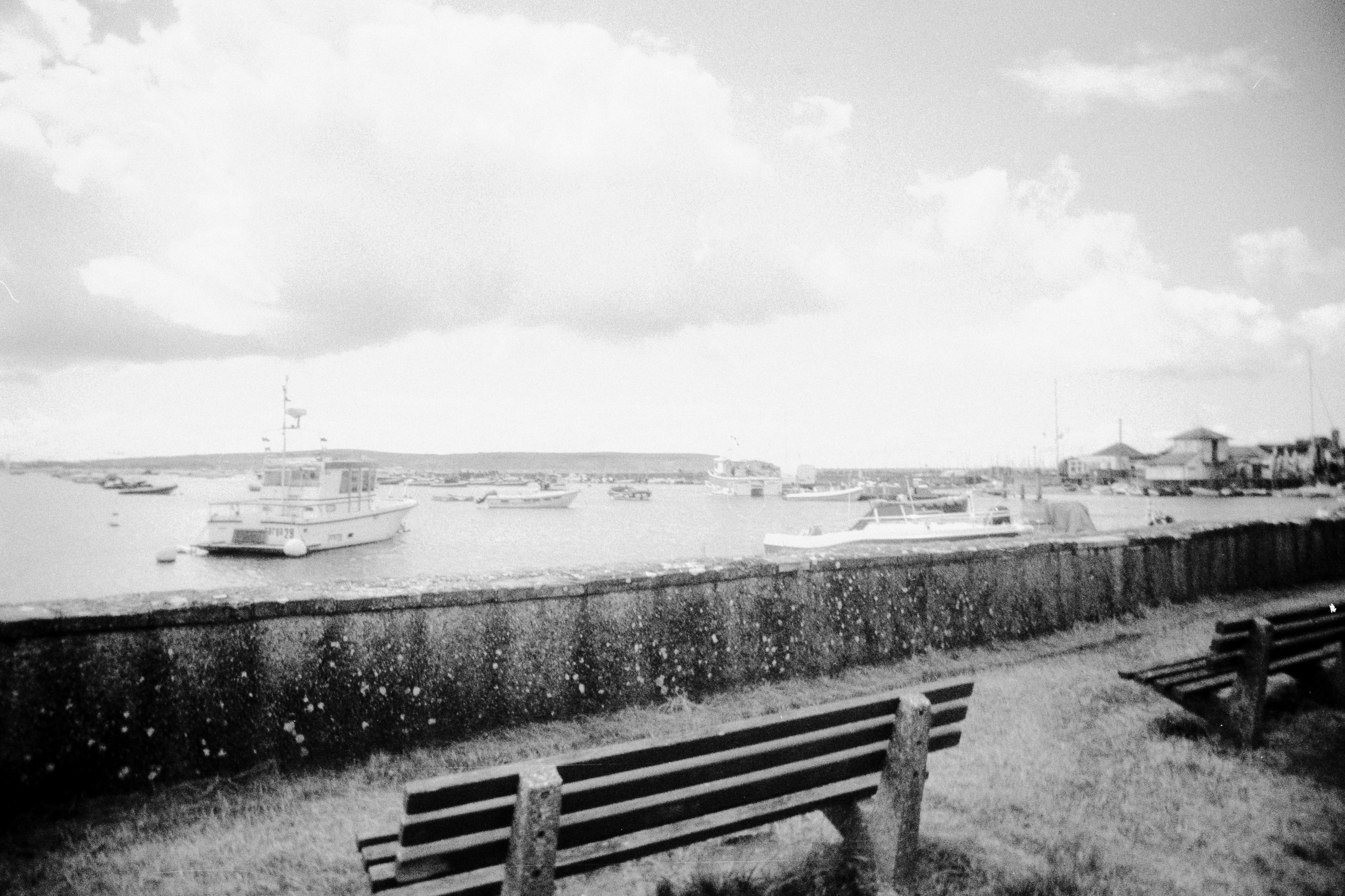 Photo by anniespratt