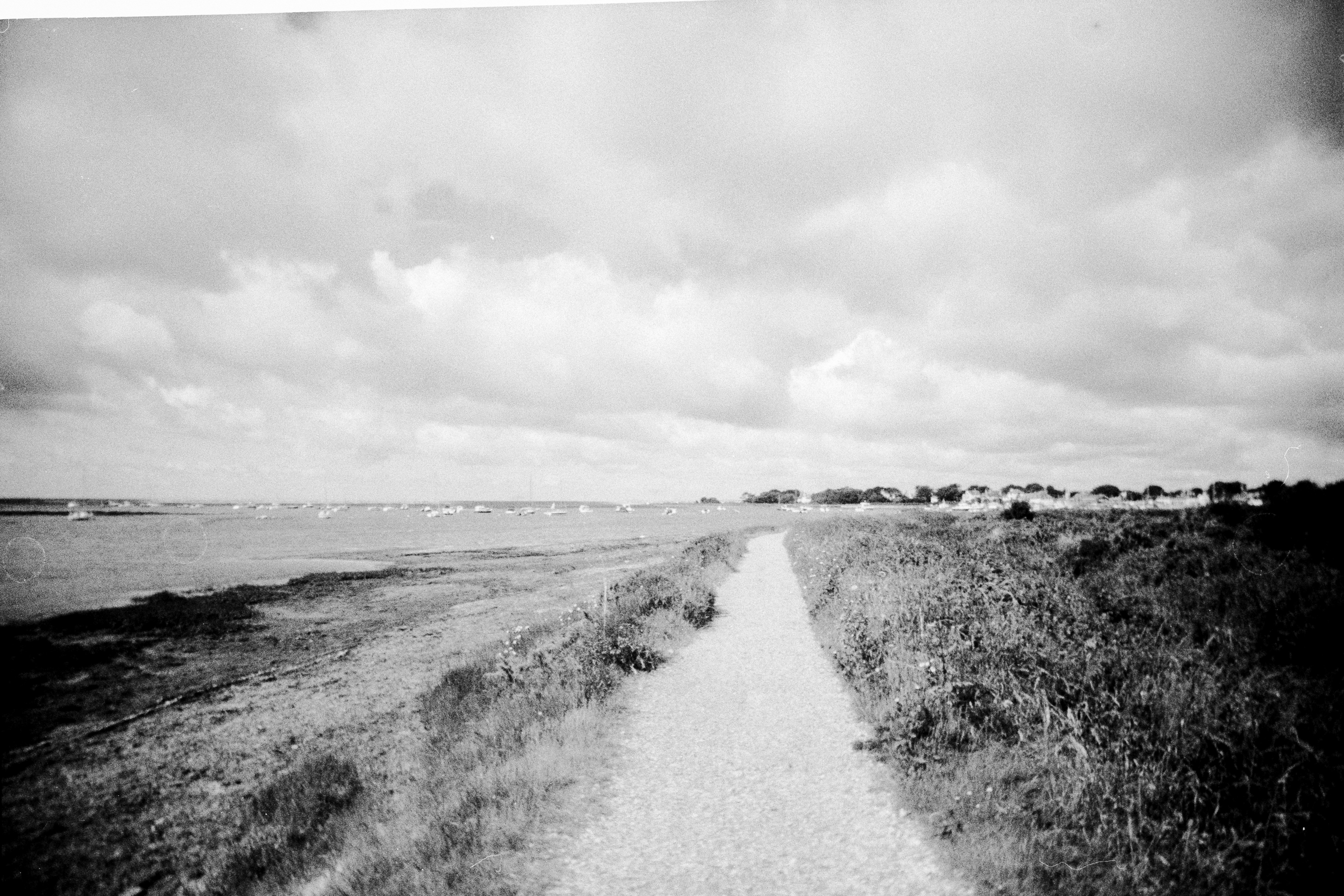 Photo by anniespratt