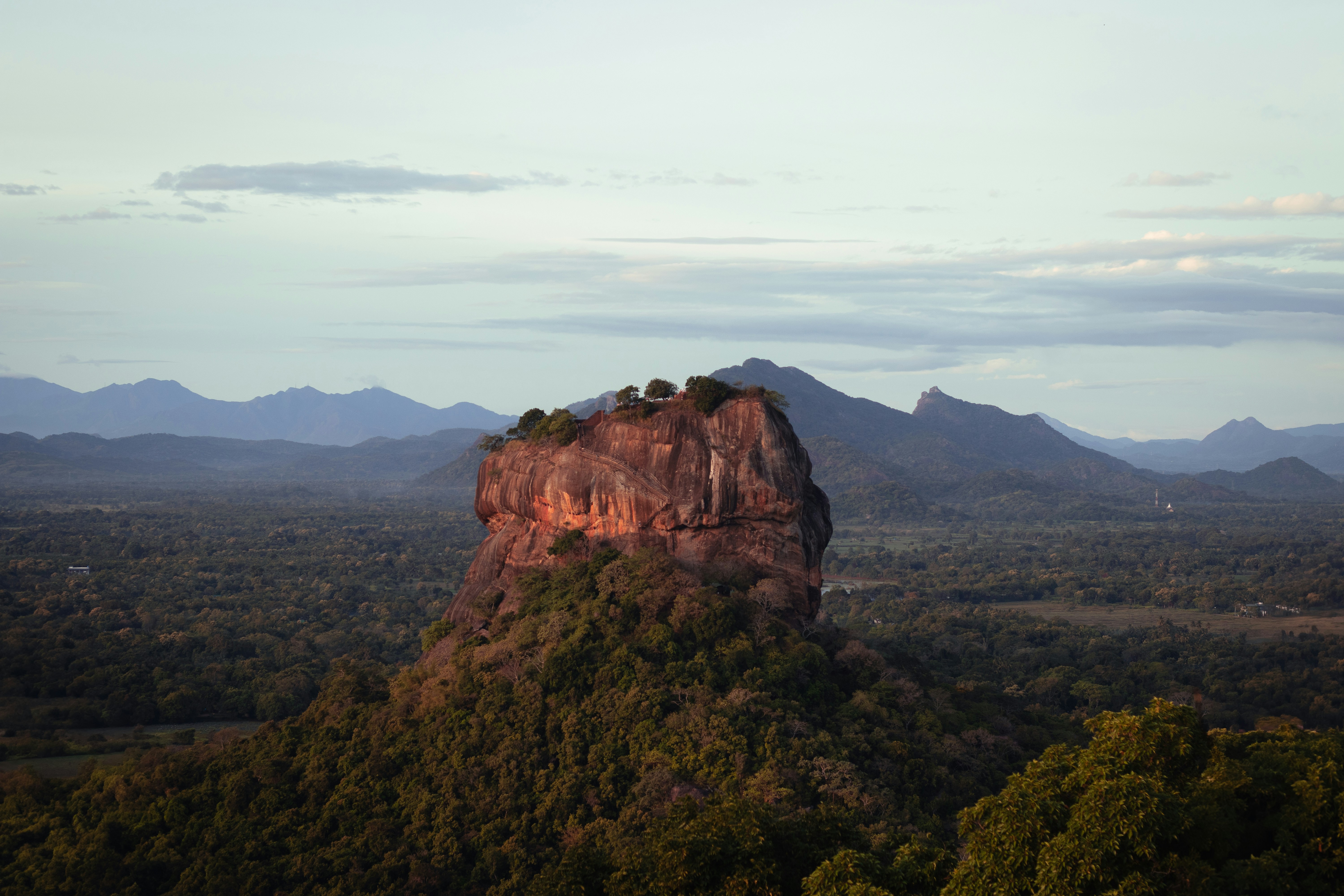 A large rock in the middle of a forest, 