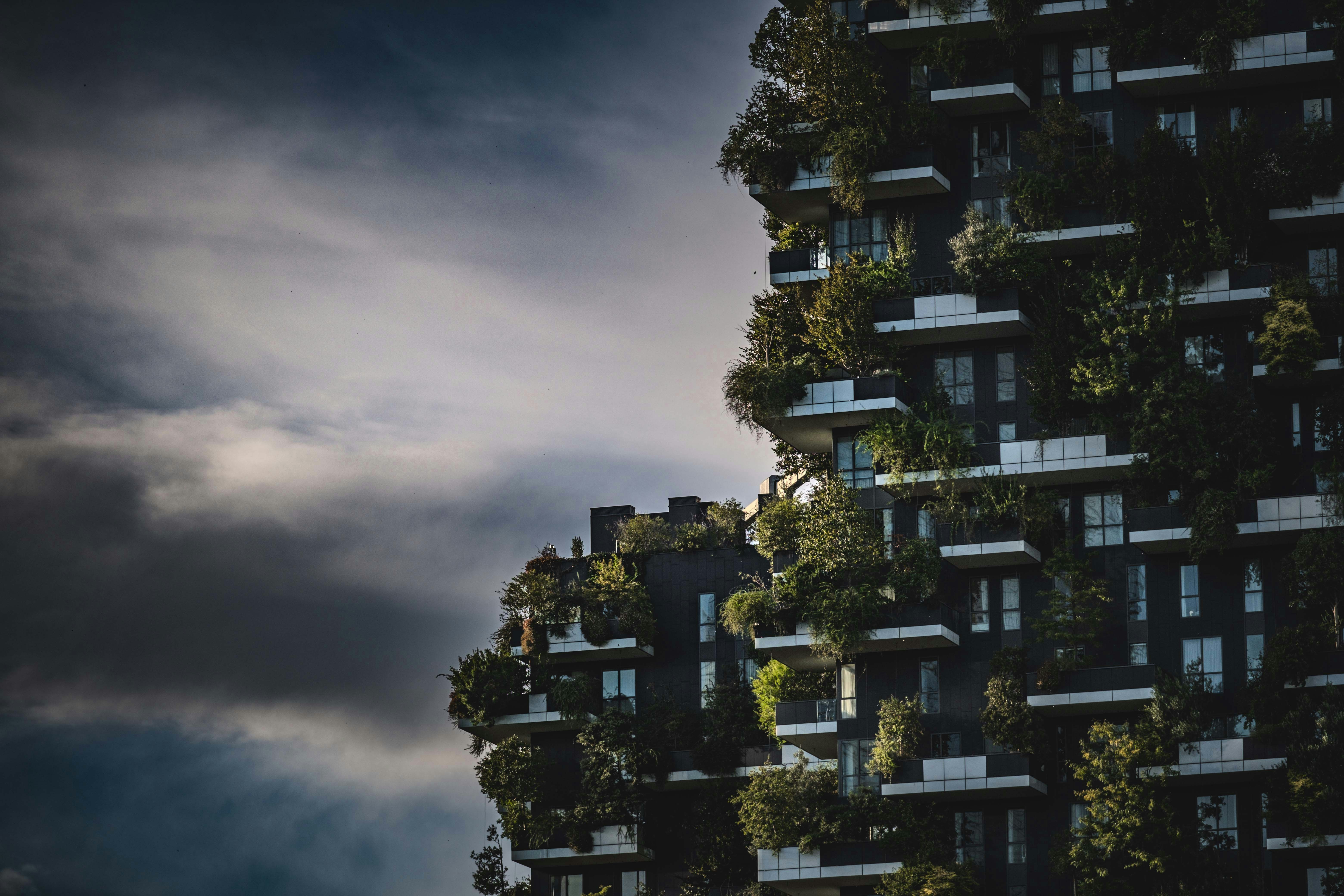 Photo by francesco_ungaro