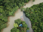 A river running through a lush green forest