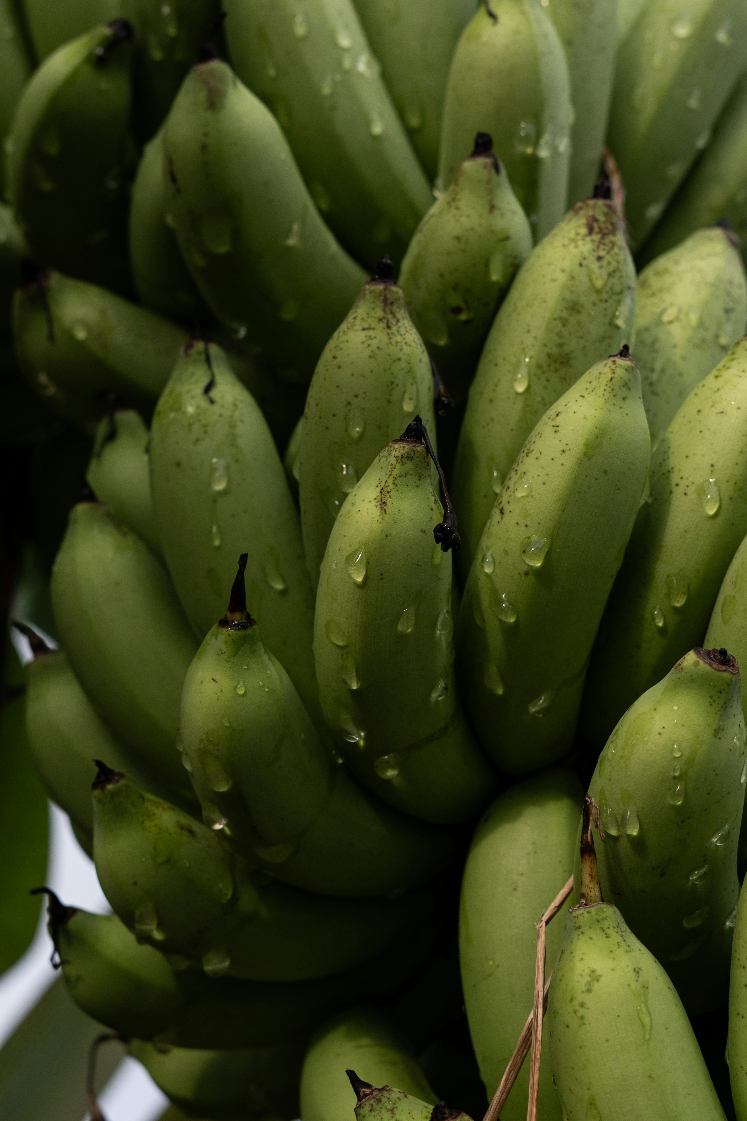 Photo by p_kuzovkova