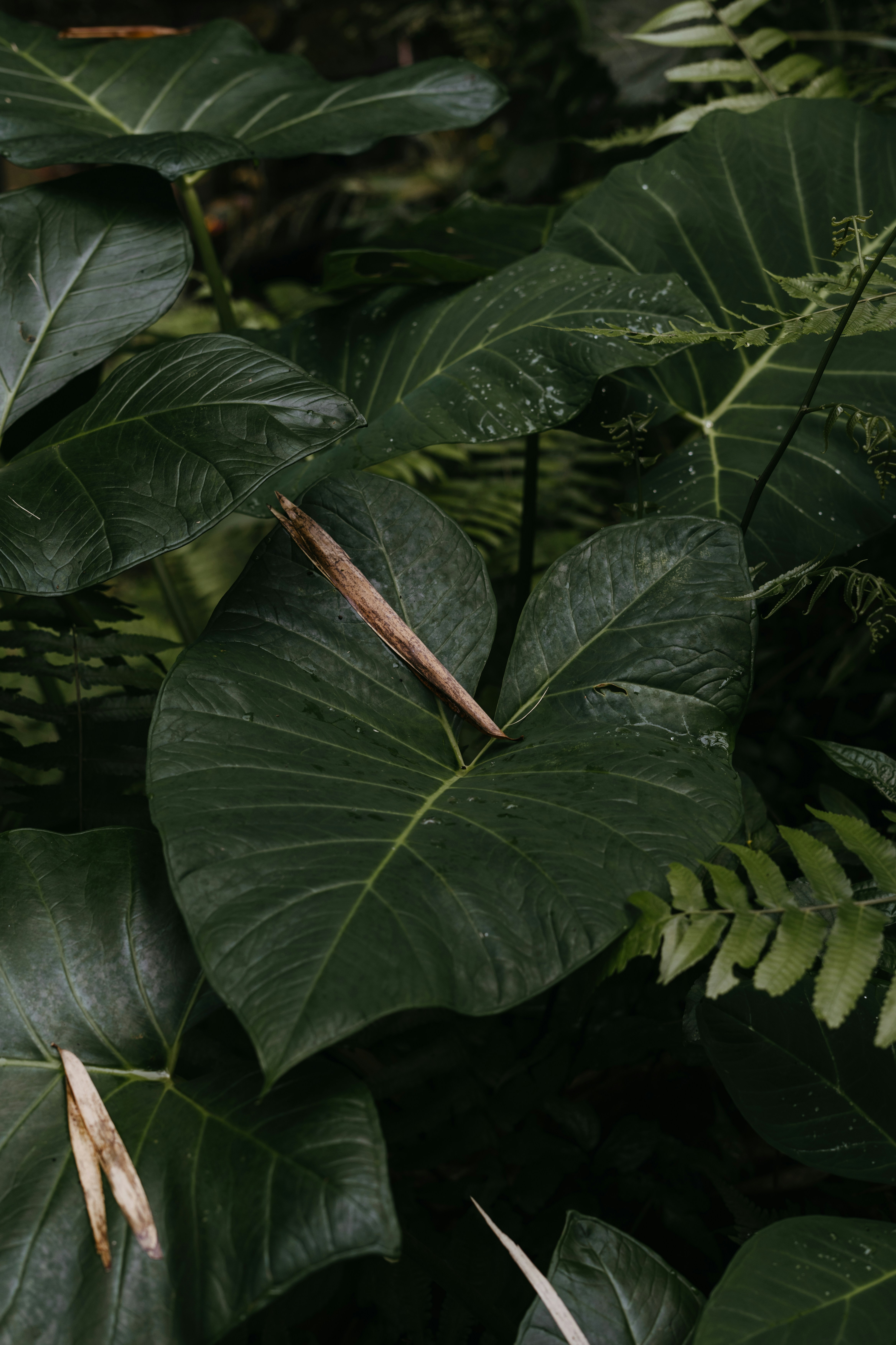 Photo by p_kuzovkova