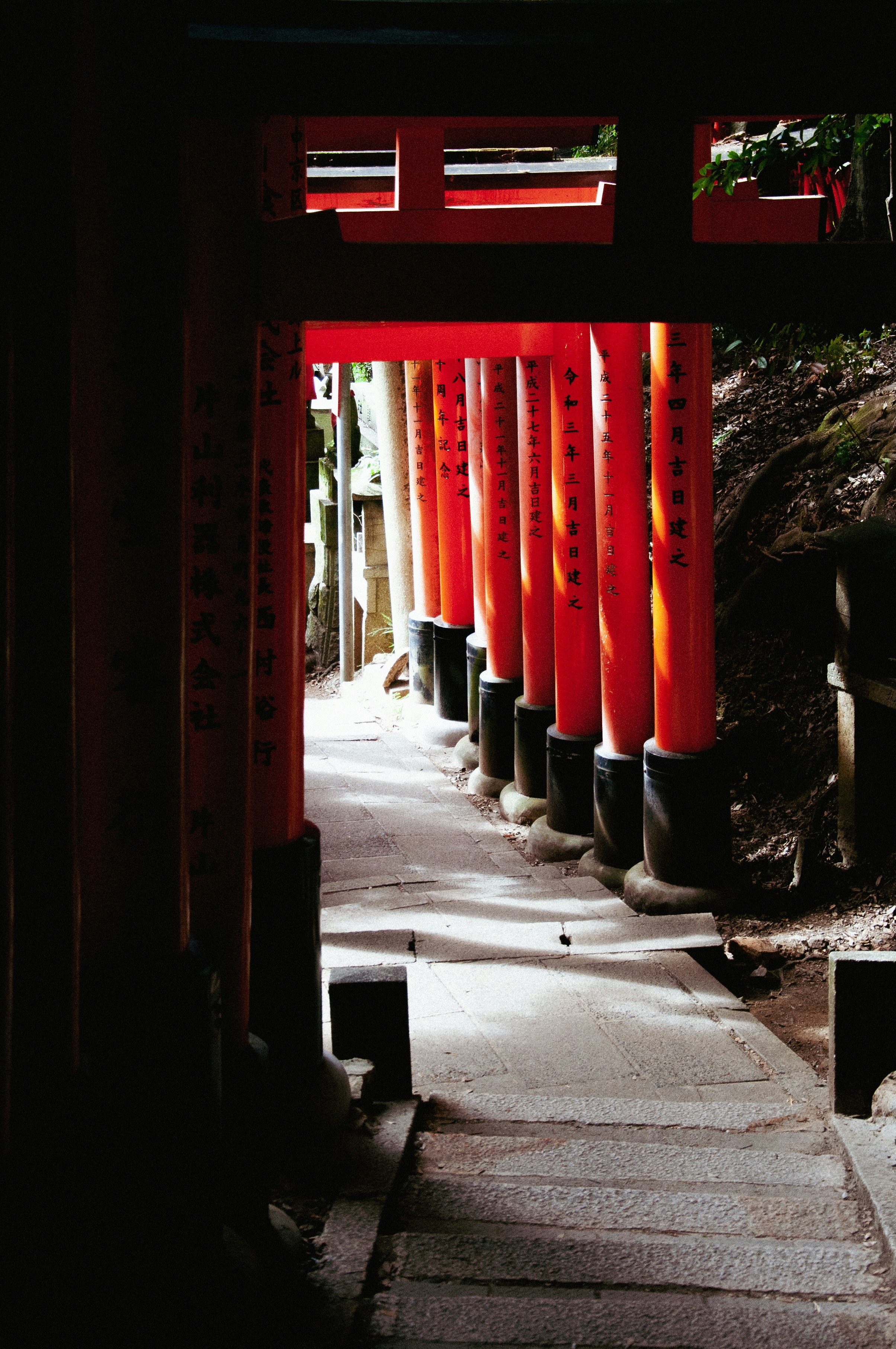 Photo by niven_kadric