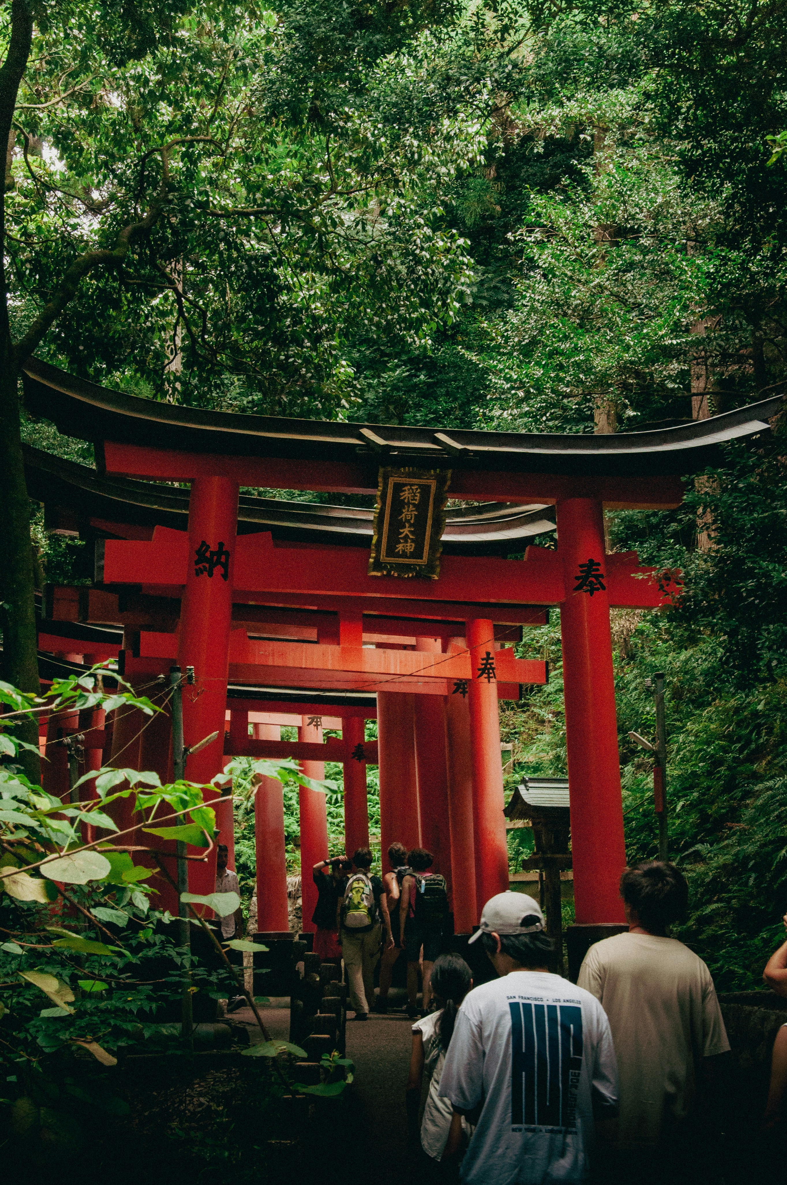 Photo by niven_kadric