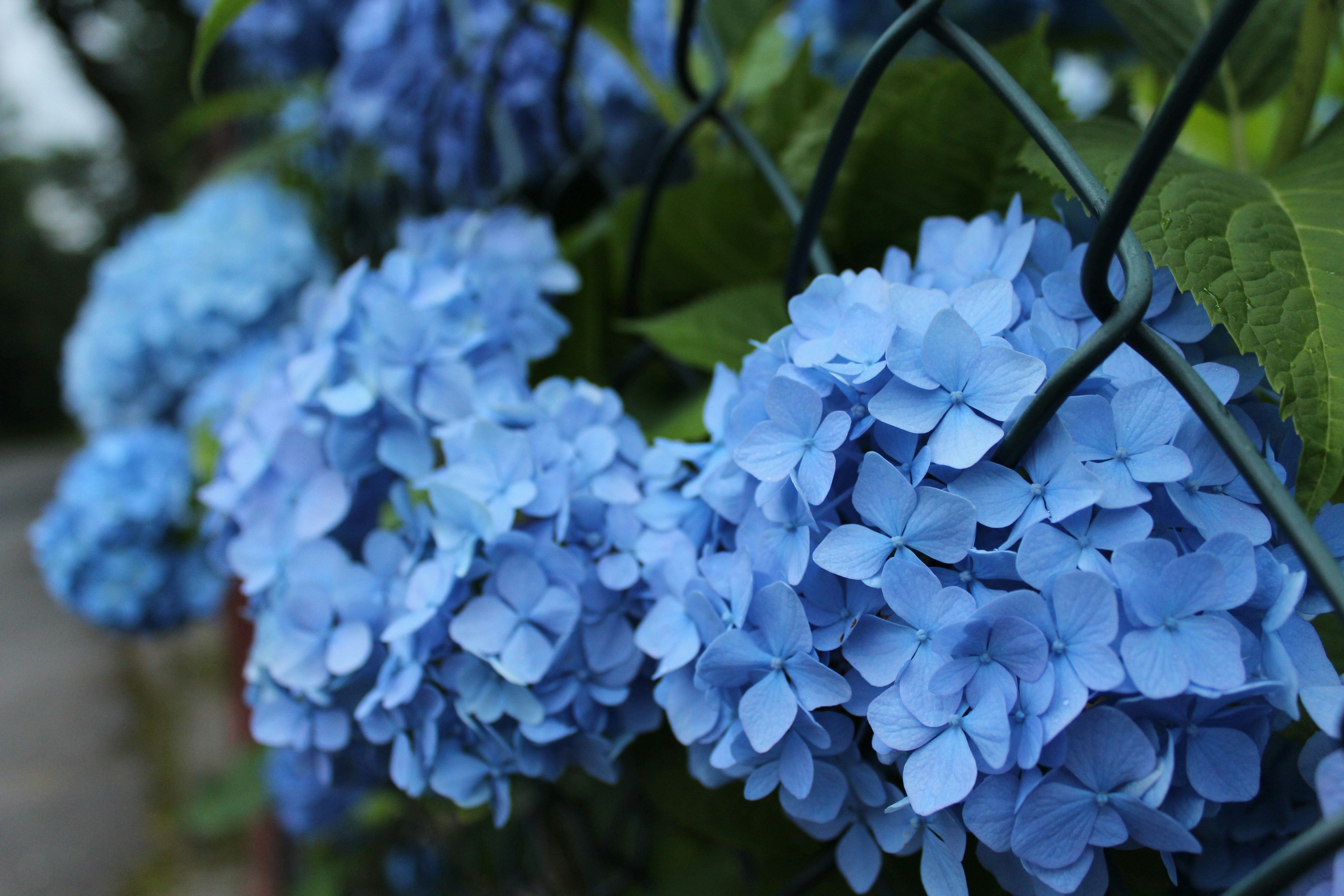 Photo by alys_skowron