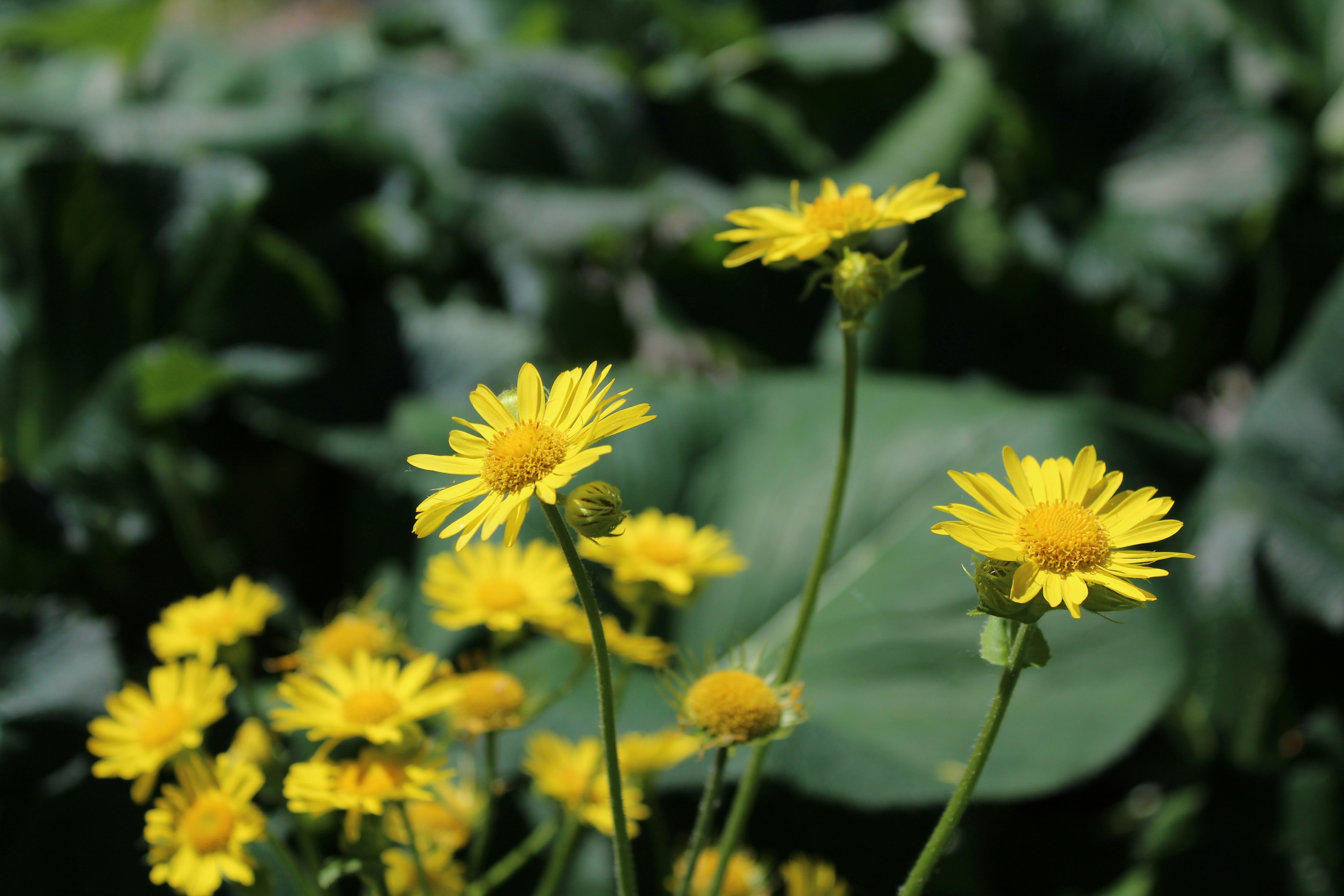 Photo by alys_skowron