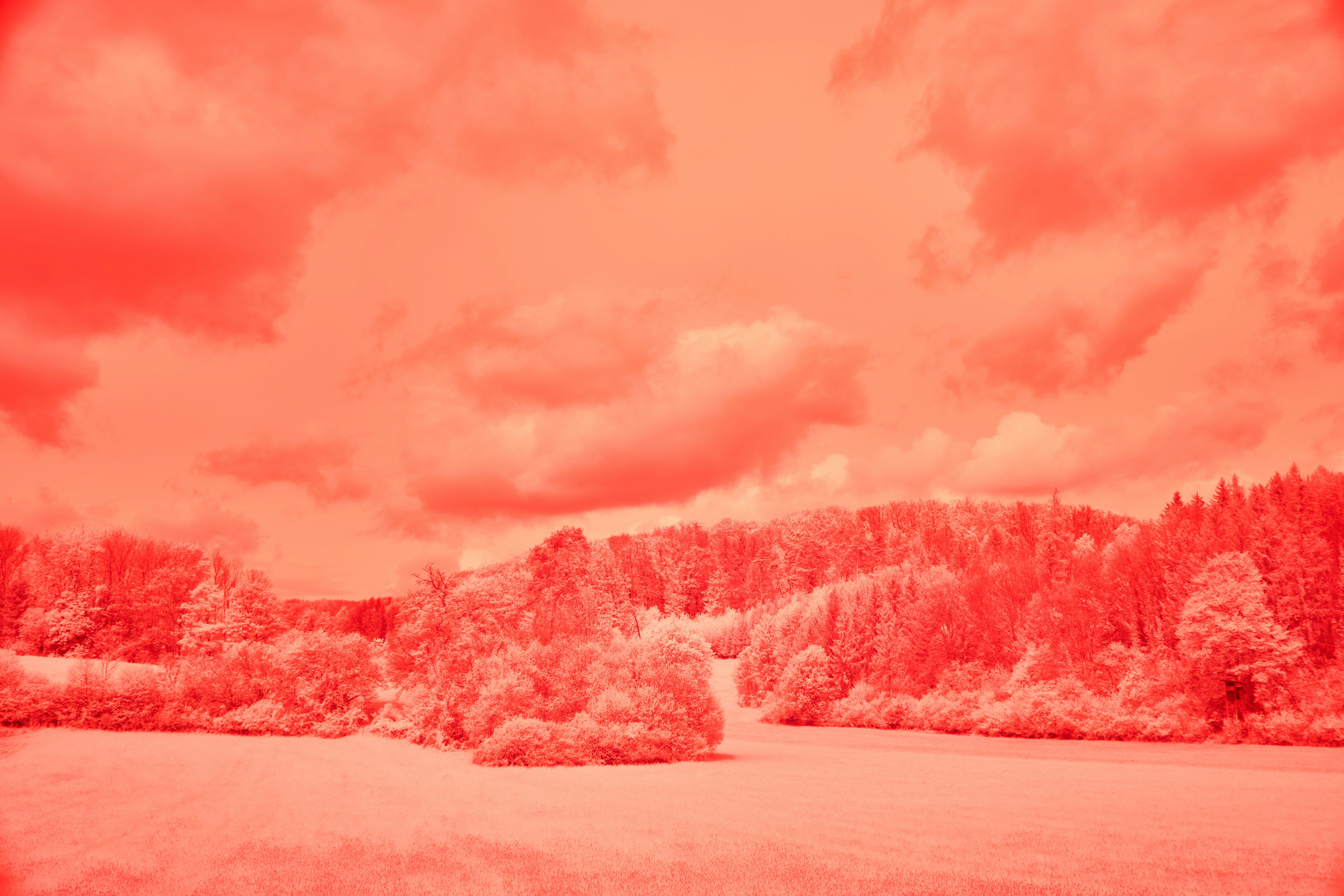 Photo by wolfgang_hasselmann