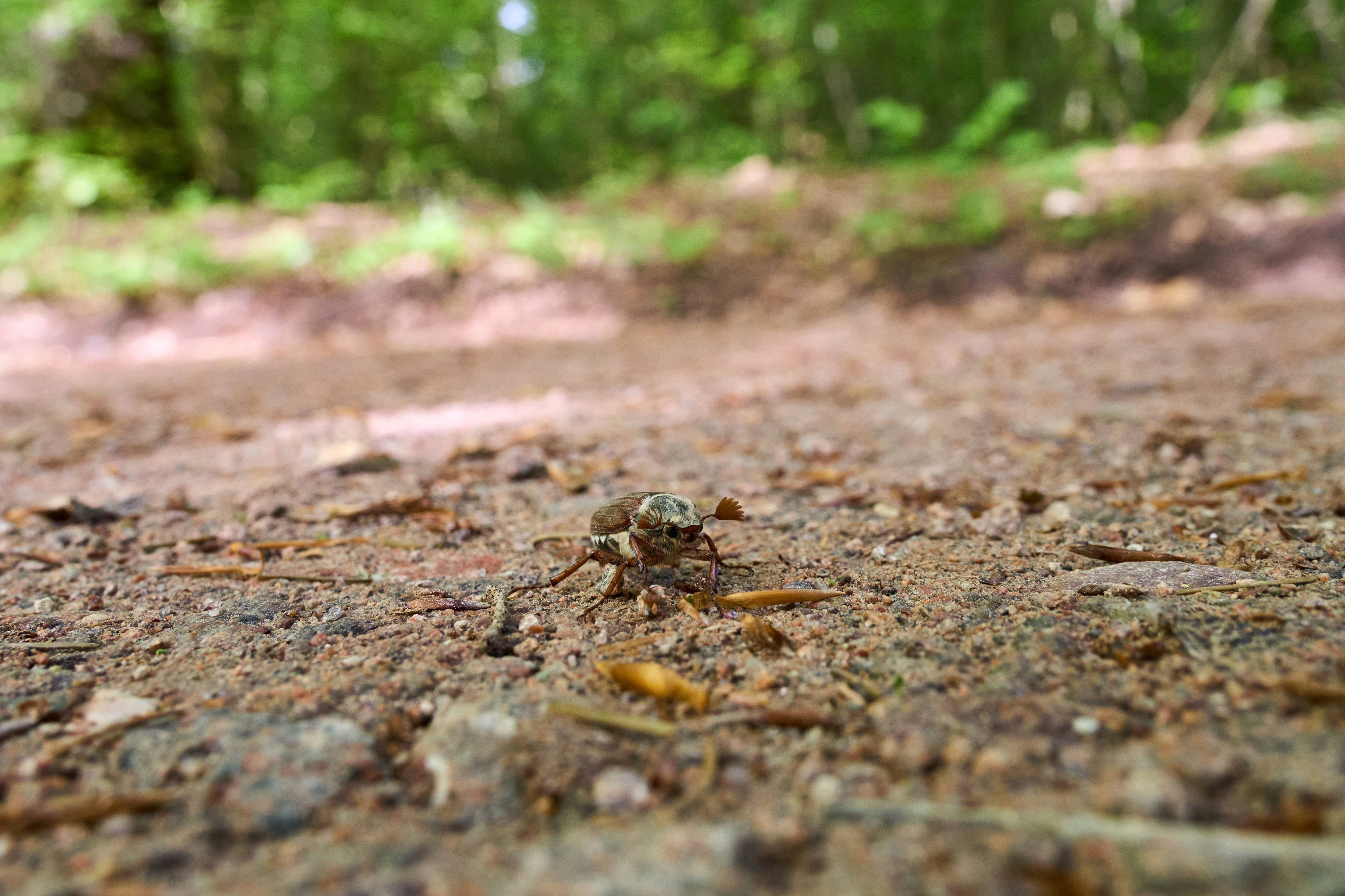 Photo by wolfgang_hasselmann