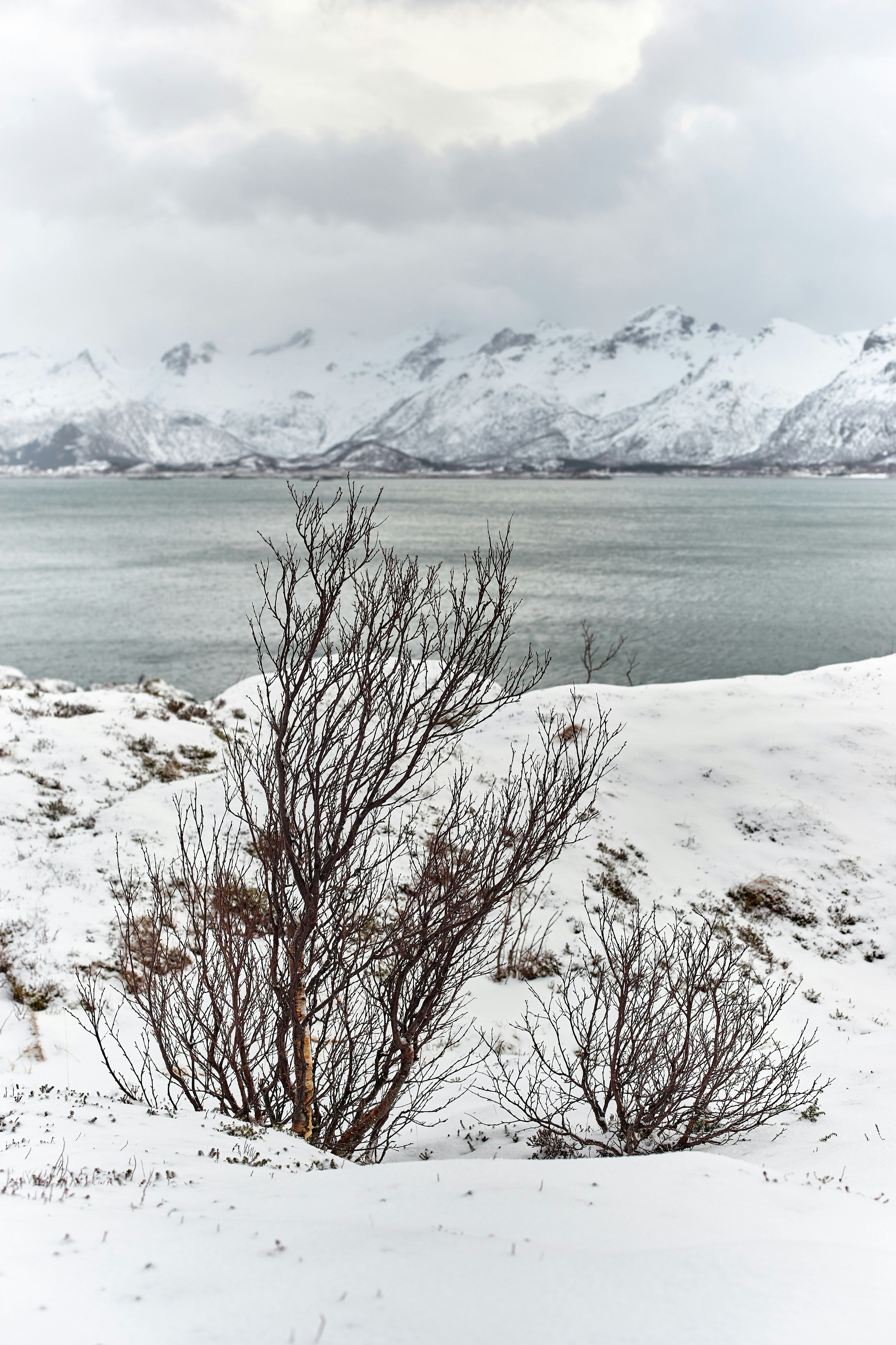 Photo by wolfgang_hasselmann