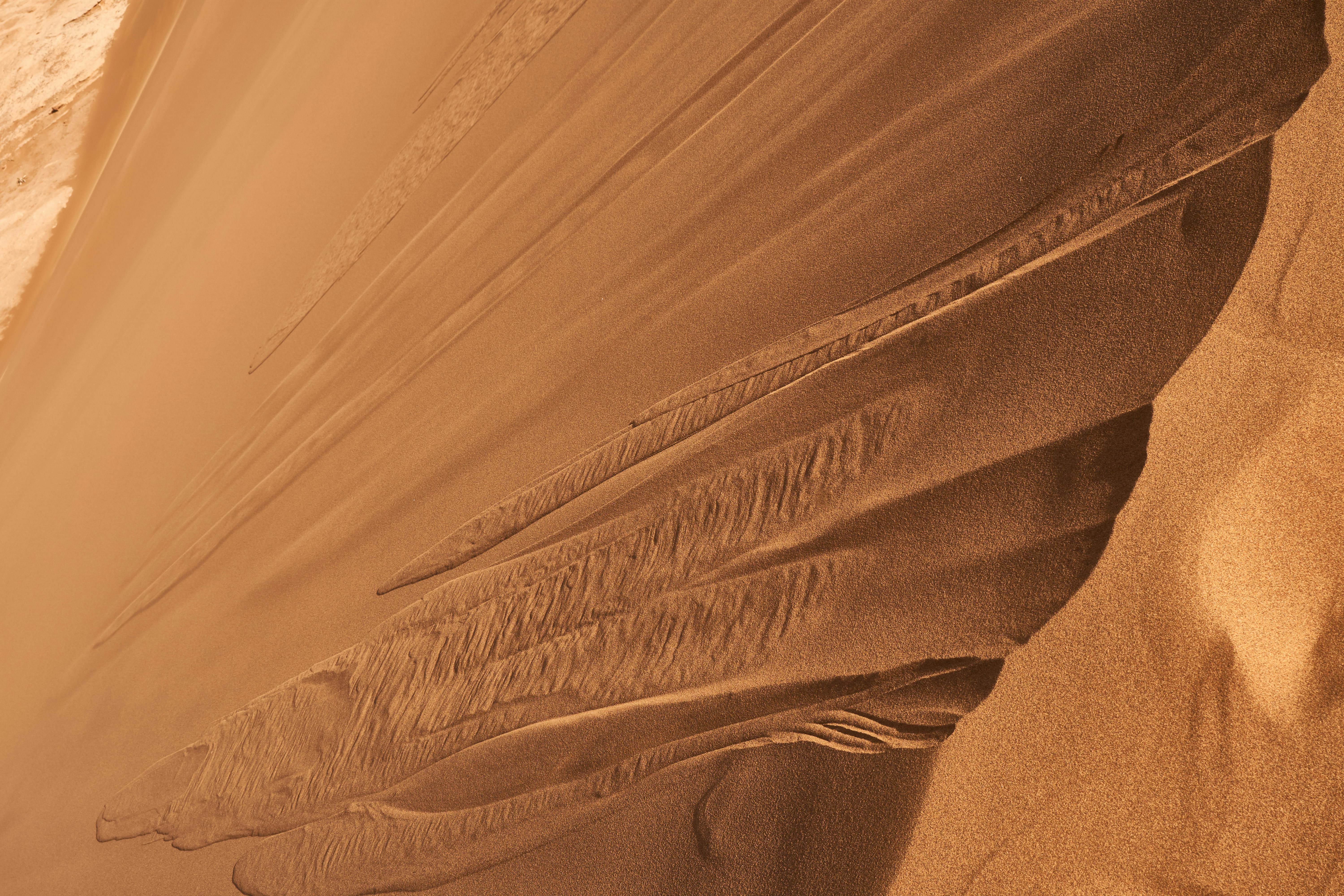 Photo by wolfgang_hasselmann