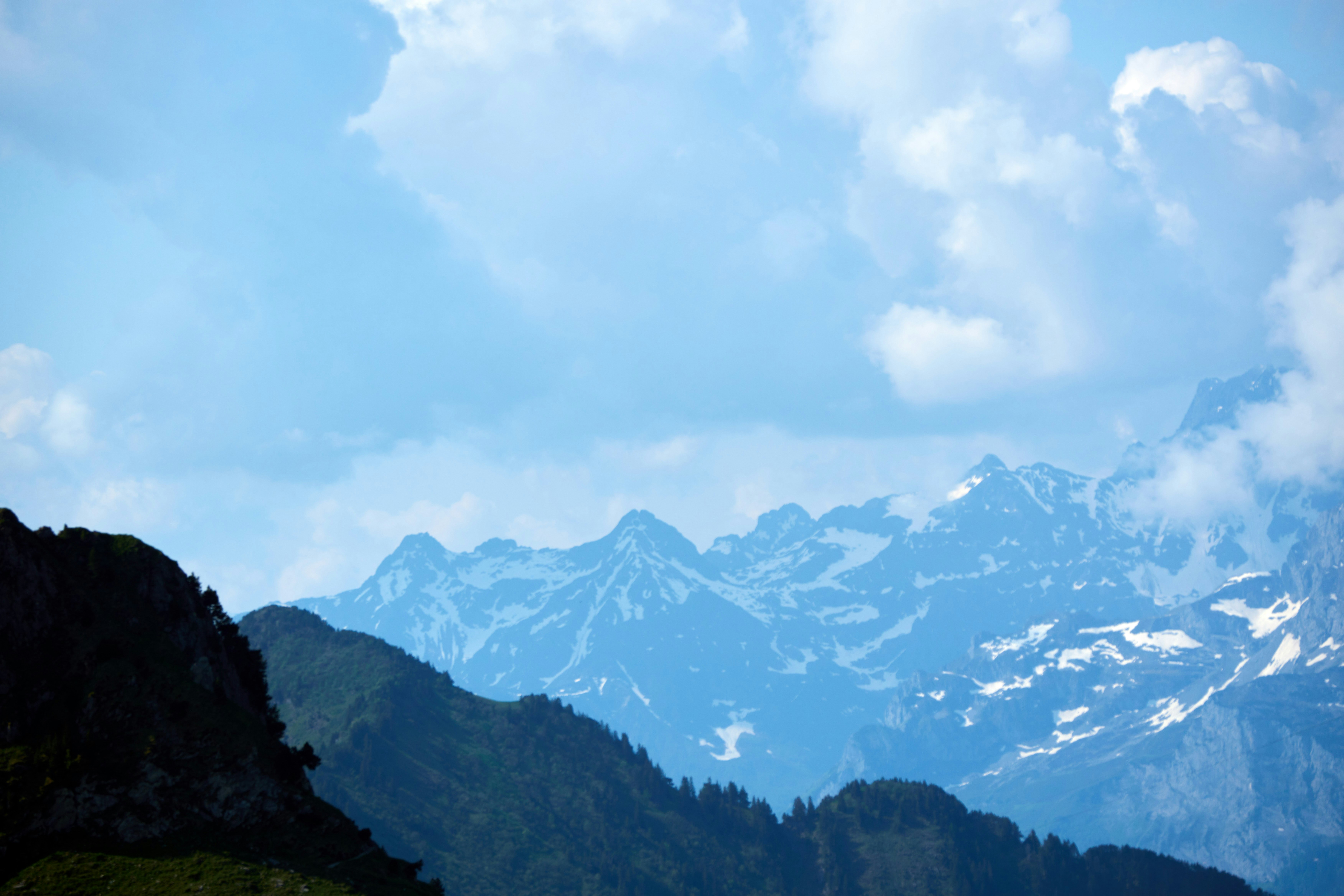 Photo by wolfgang_hasselmann