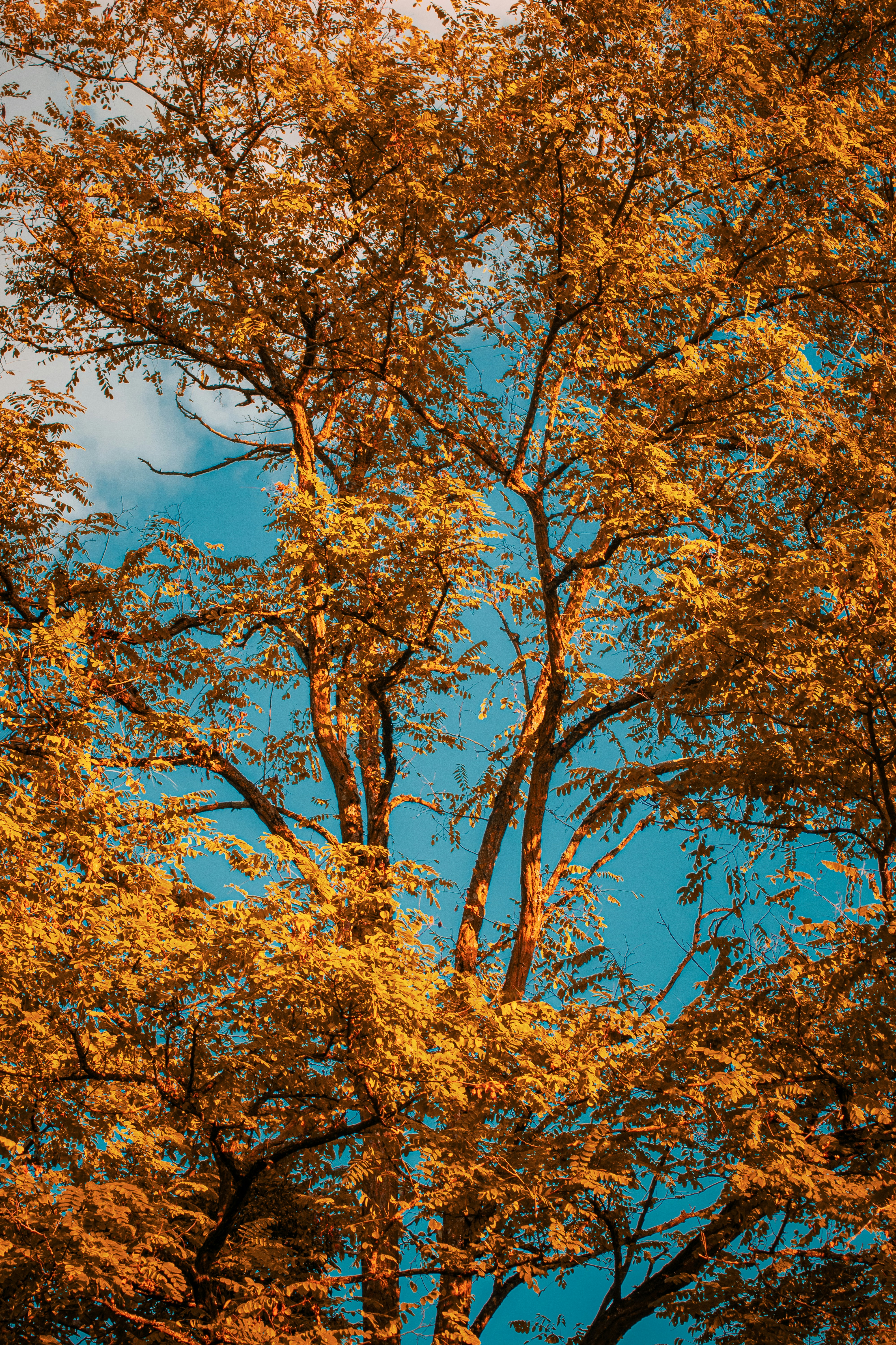 Photo by fabrice_fotografie