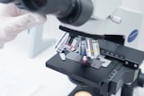 A person in white gloves is looking through a microscope