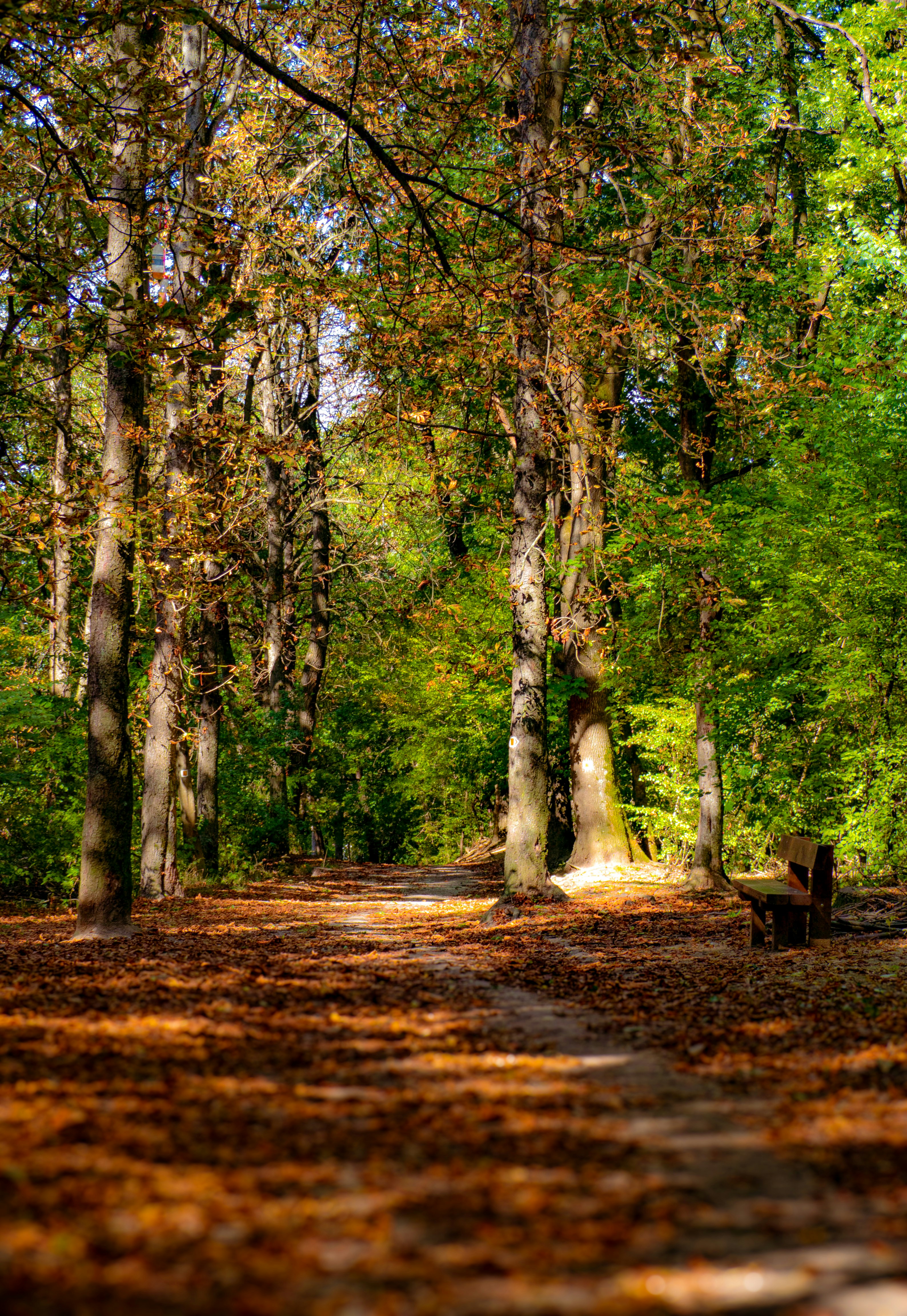 Photo by sarahs_captured_moments