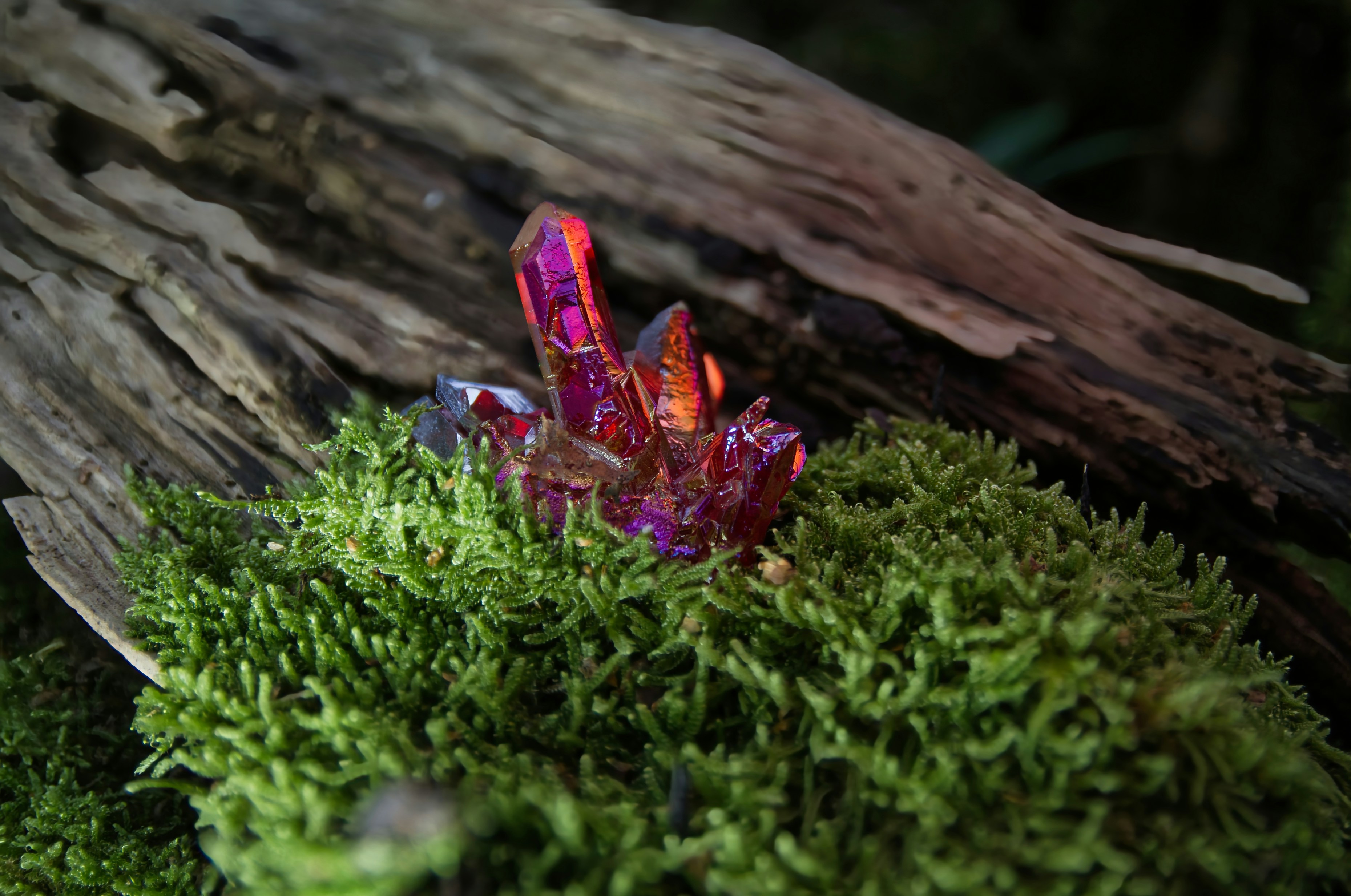 Healing Plant Crystal