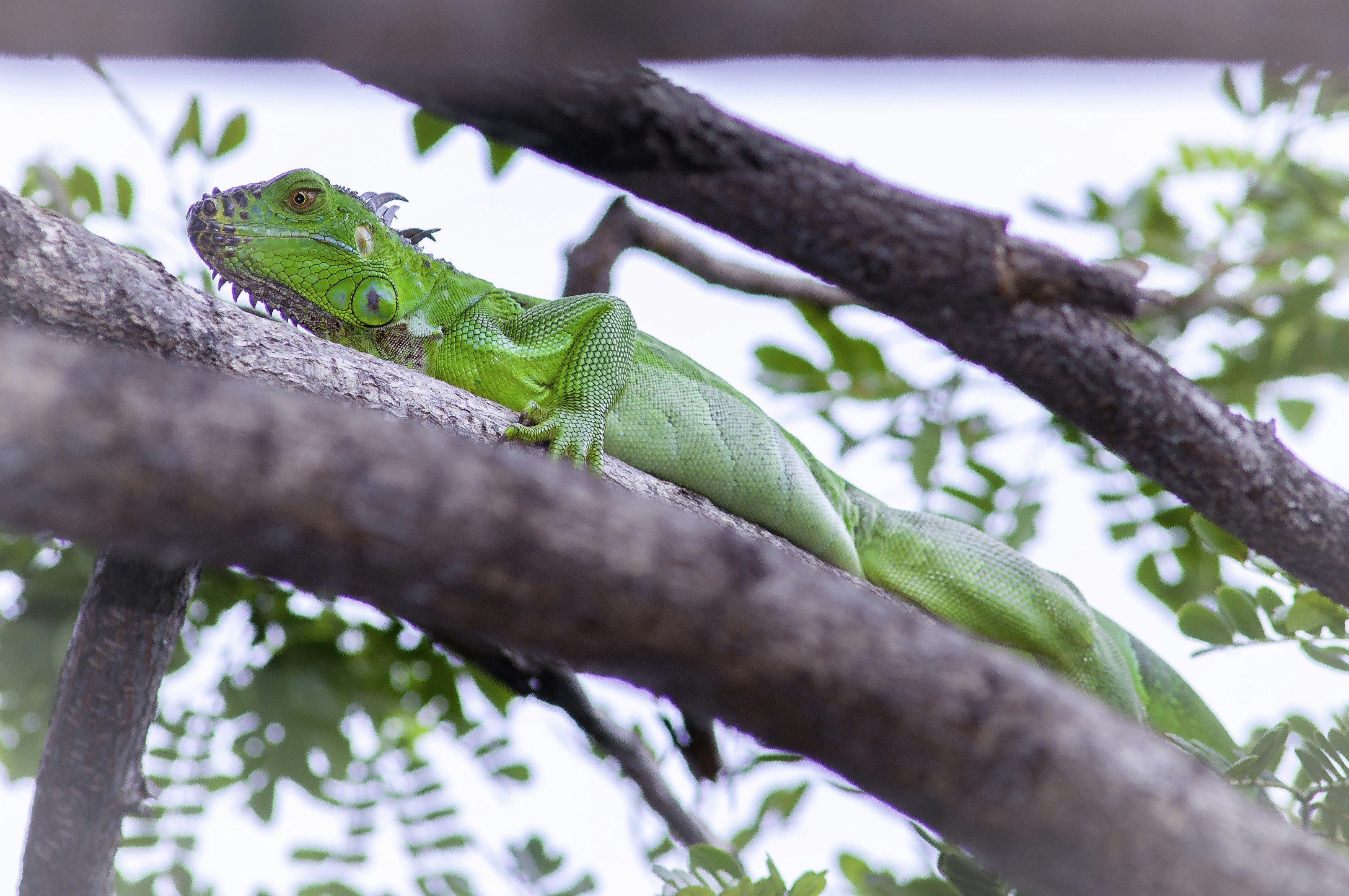 Photo by thom_oxford