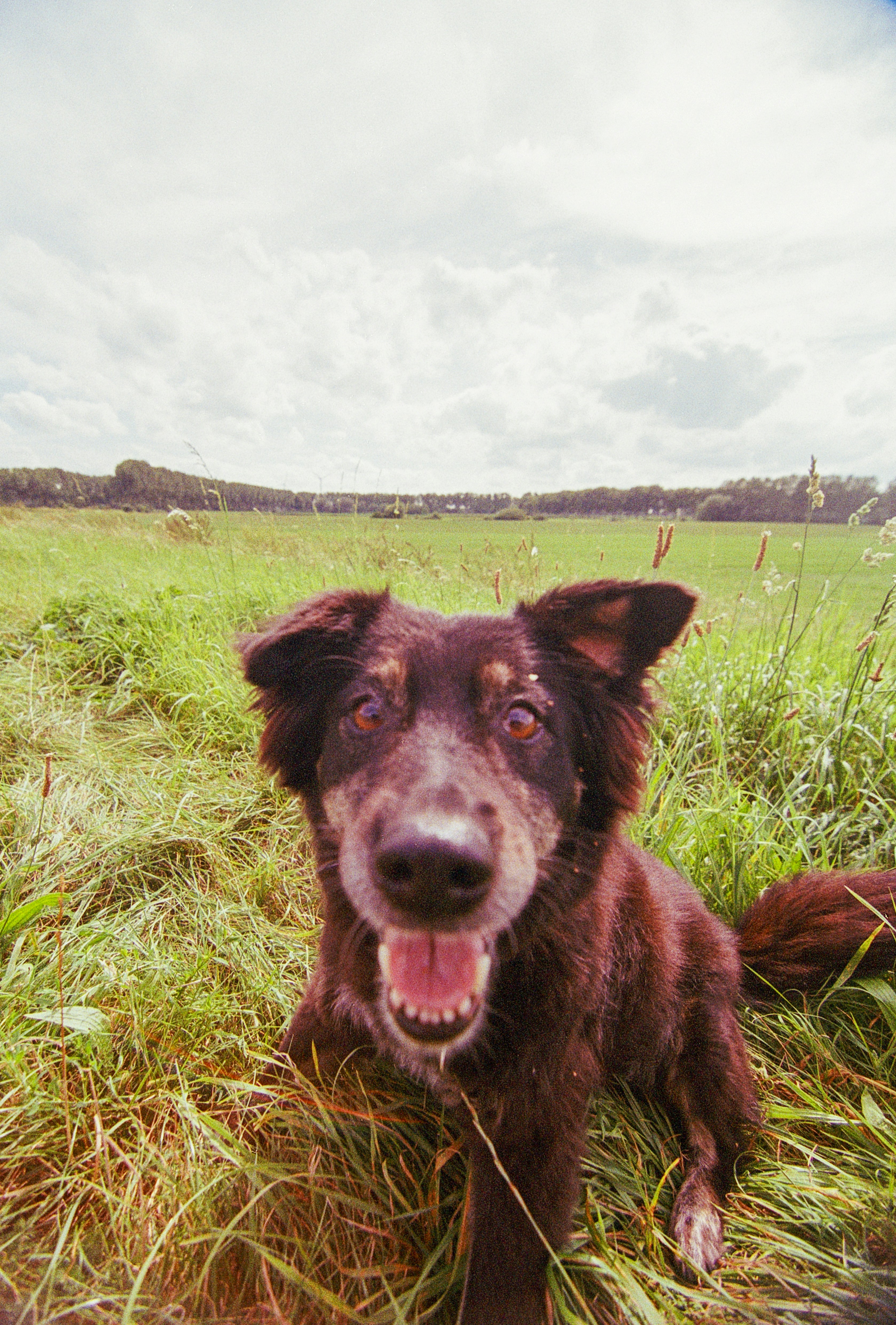 Photo by artistseyes