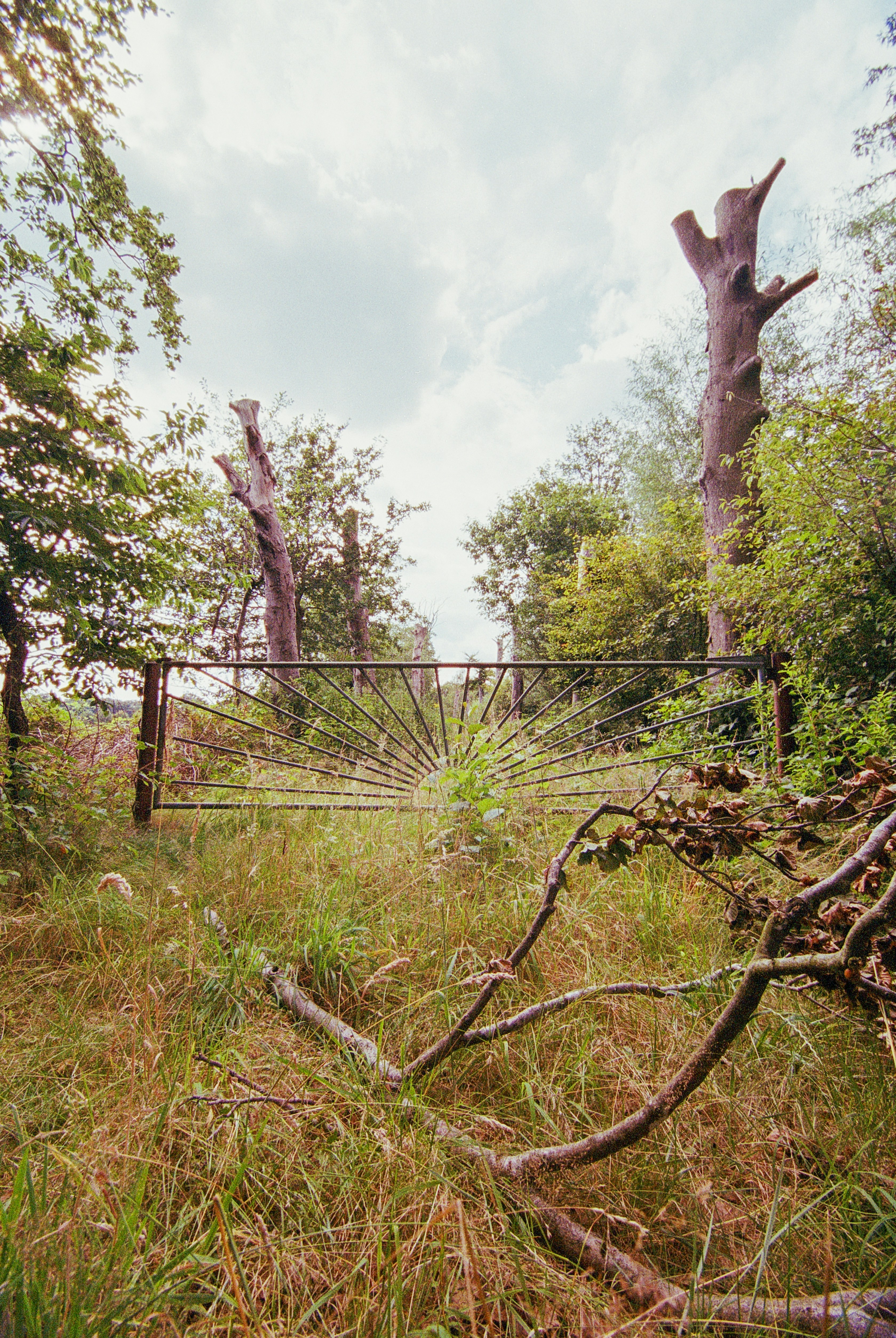 Photo by artistseyes