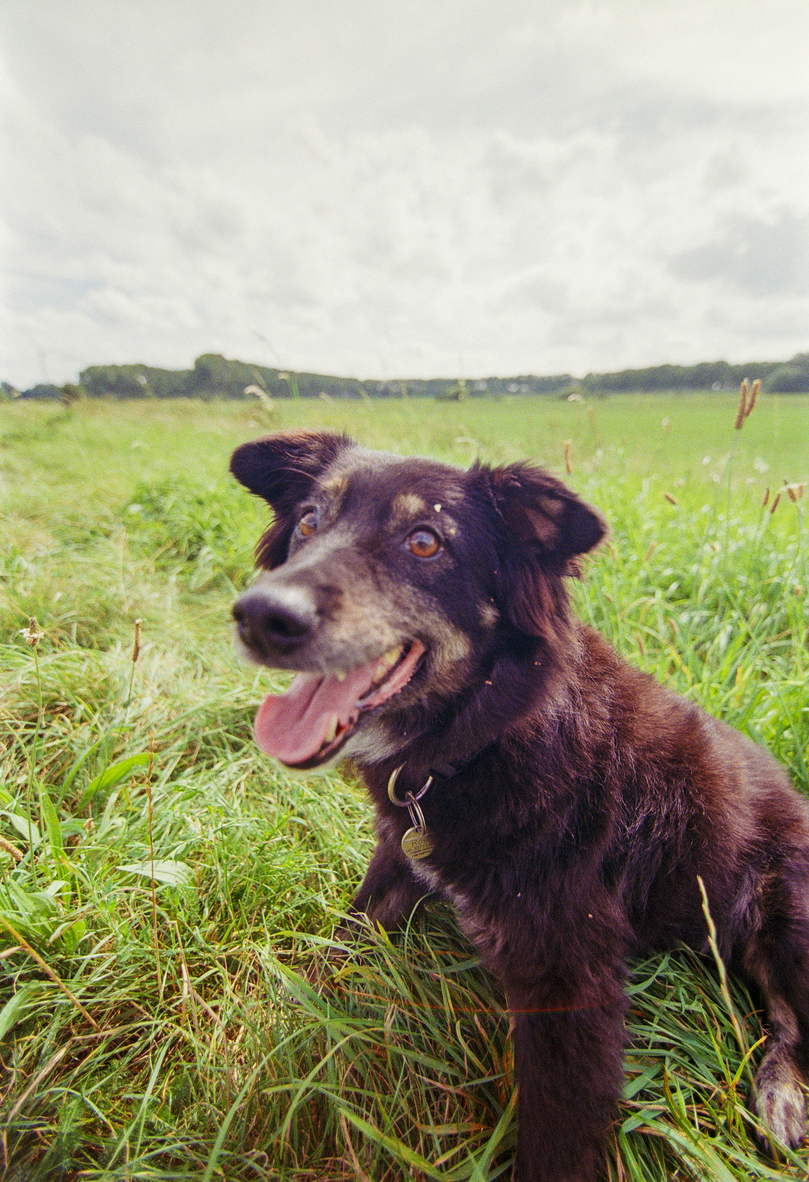 Photo by artistseyes