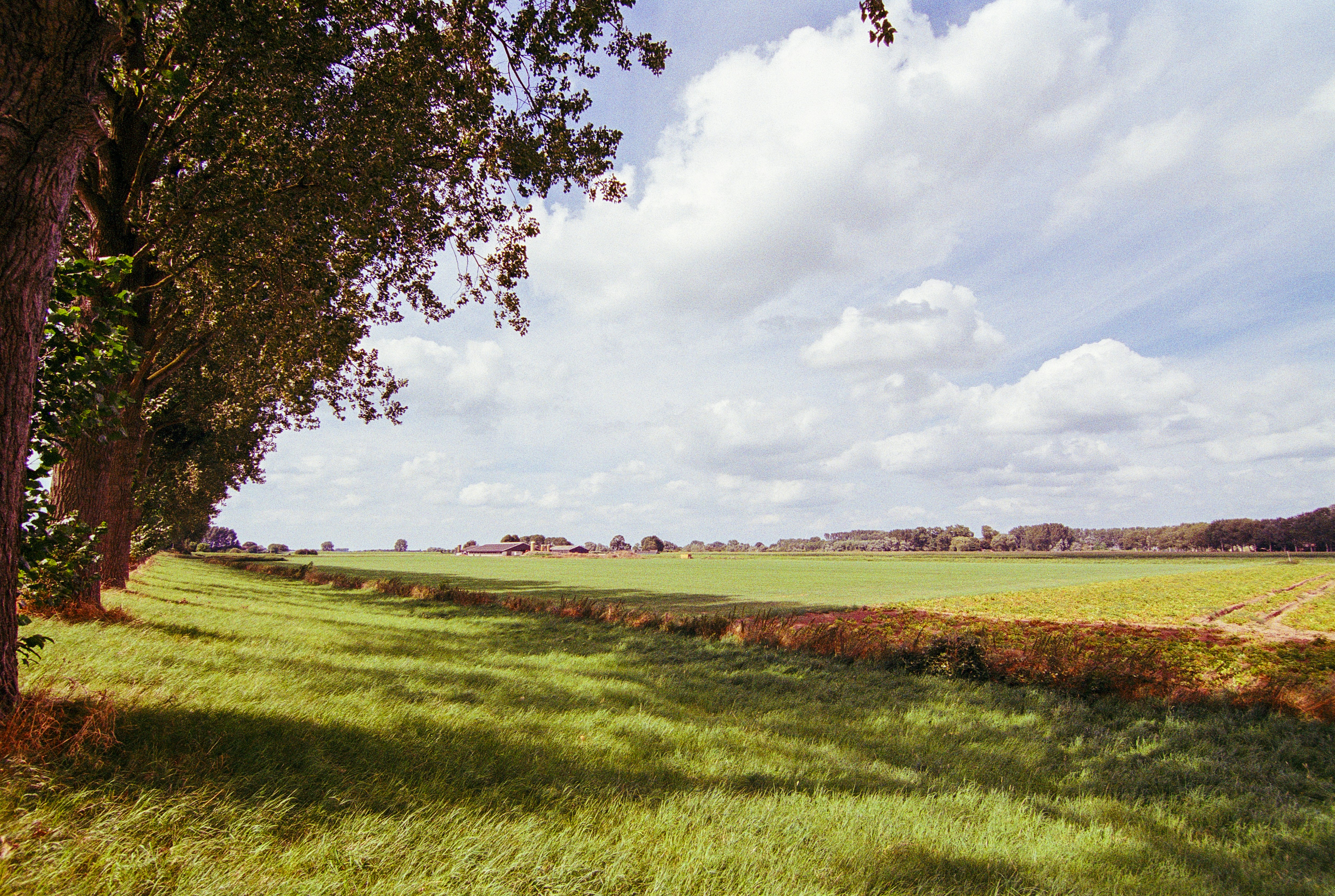 Photo by artistseyes