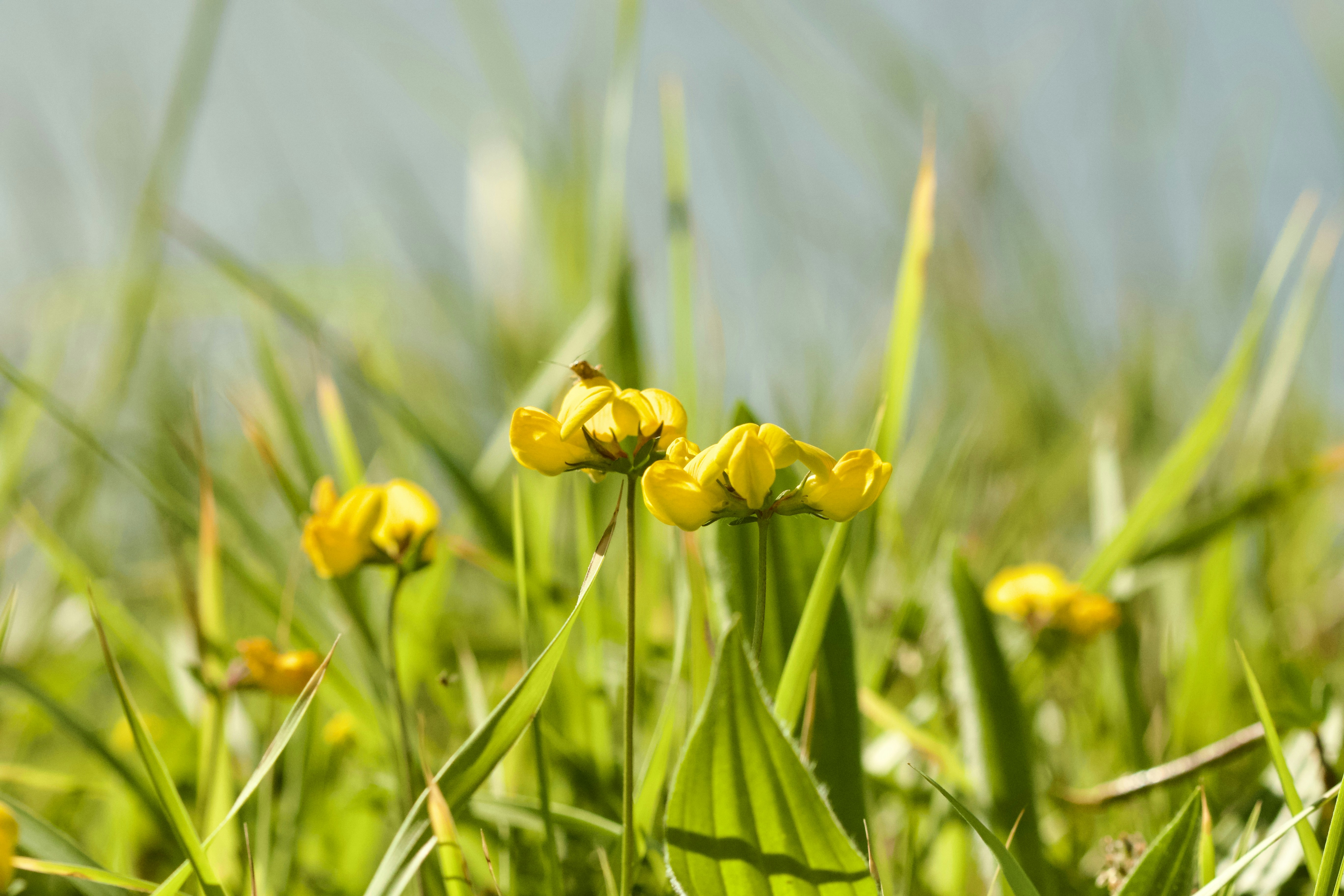 Photo by txabertrevino