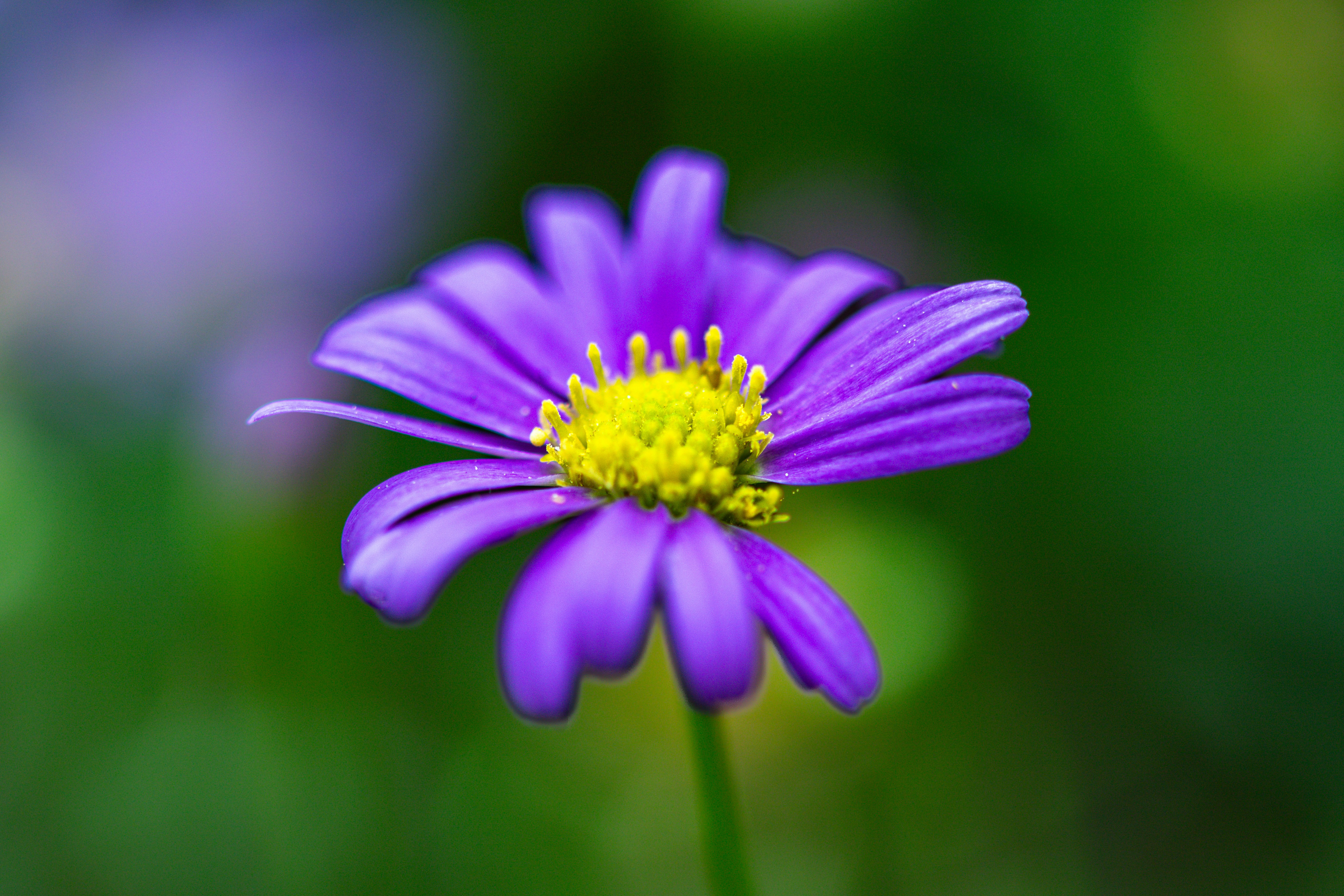 Photo by txabertrevino