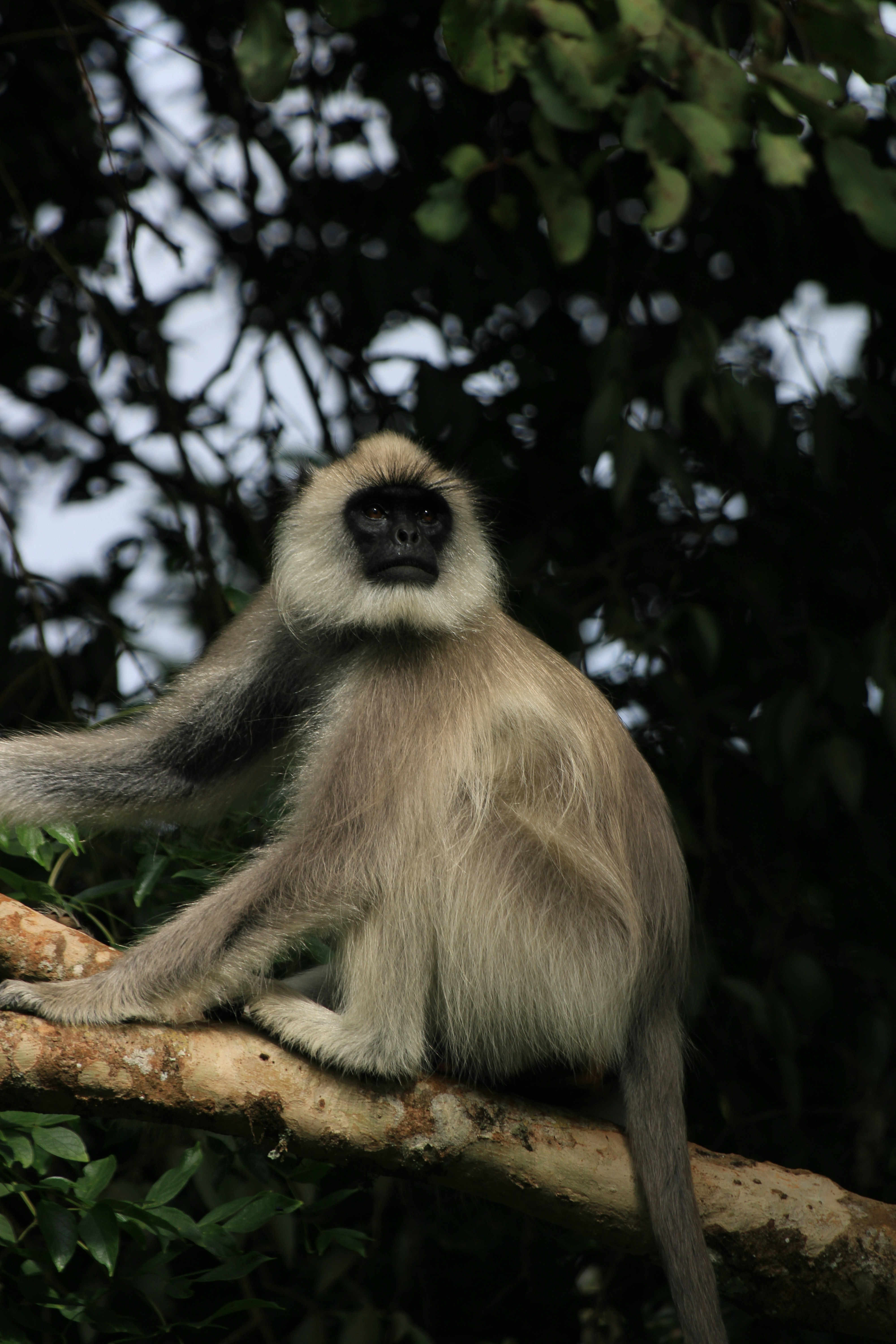 Photo by nandan_upadhya