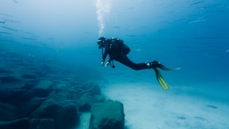 A person in a scuba suit diving in the ocean