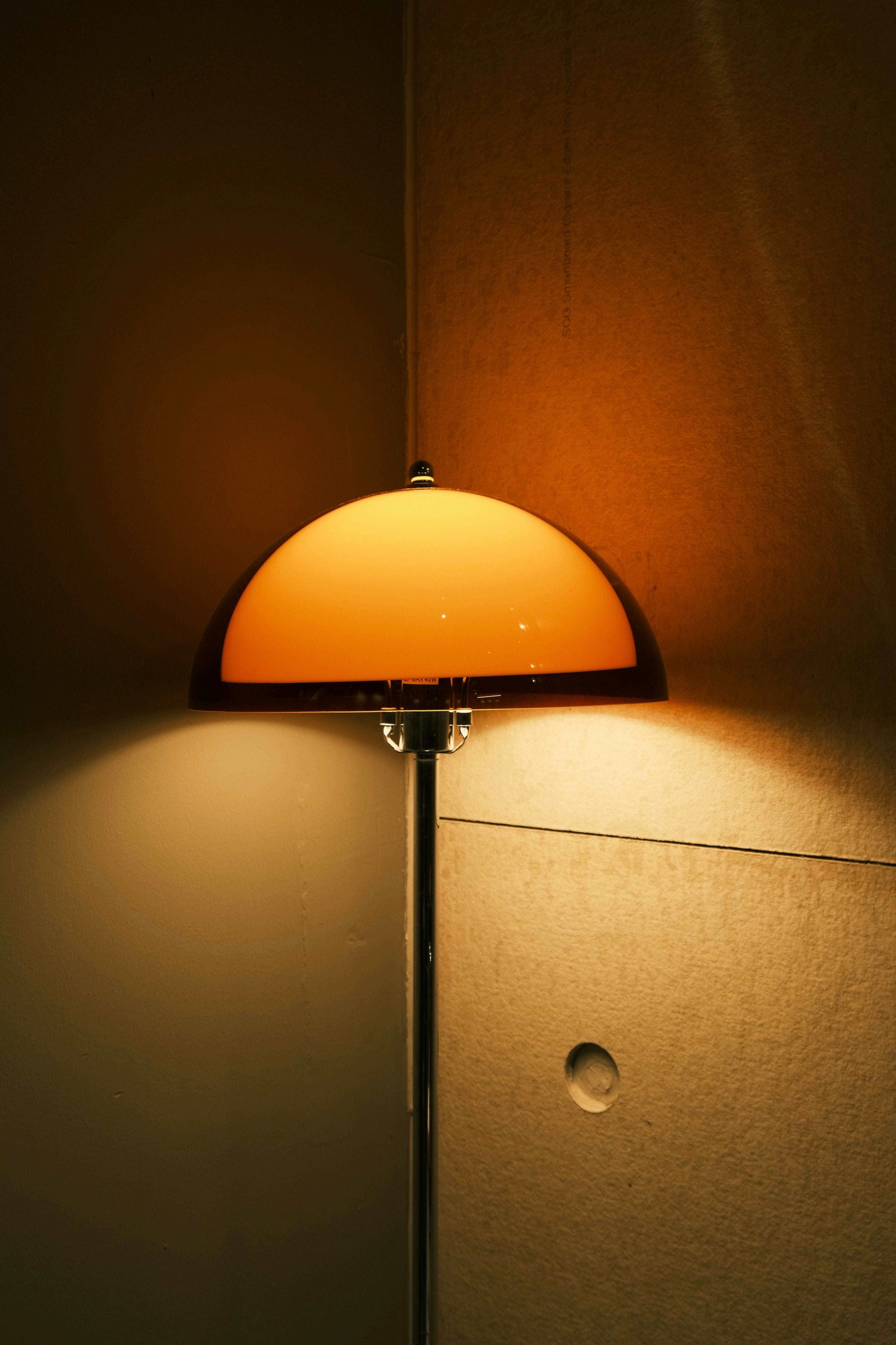 Photo by dvhoang2106