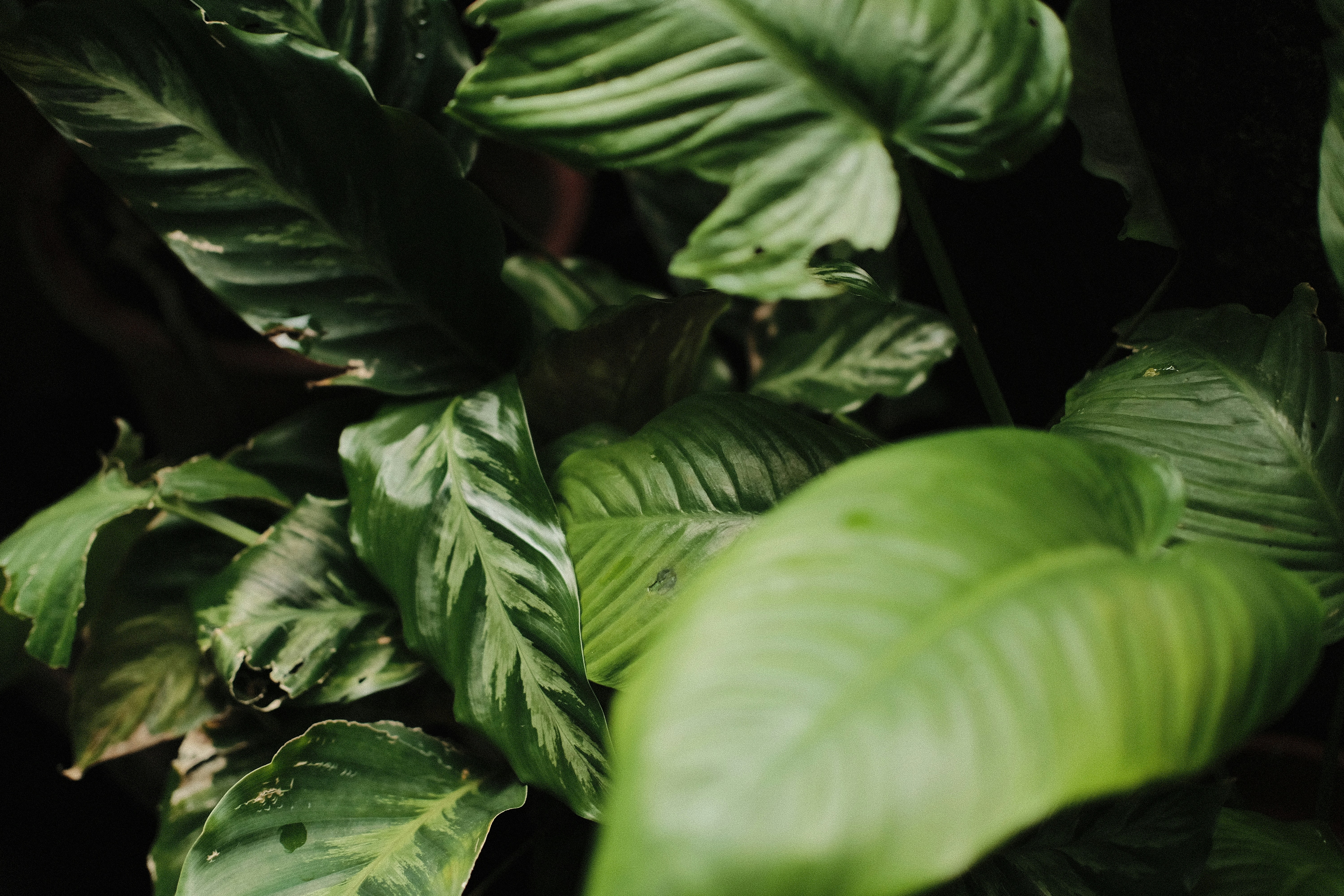 Photo by sheen_xcllnt