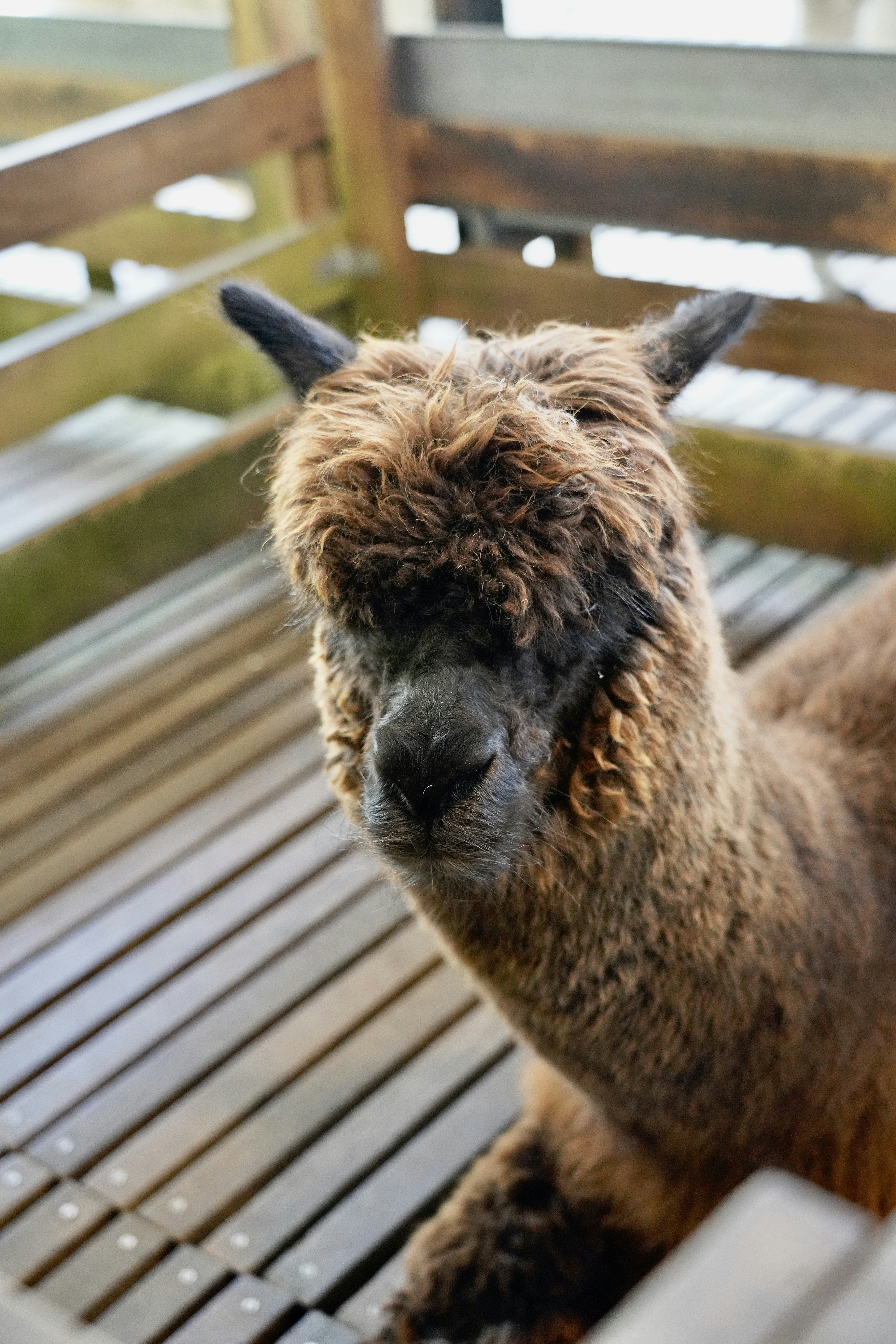 Photo by piscesglitch