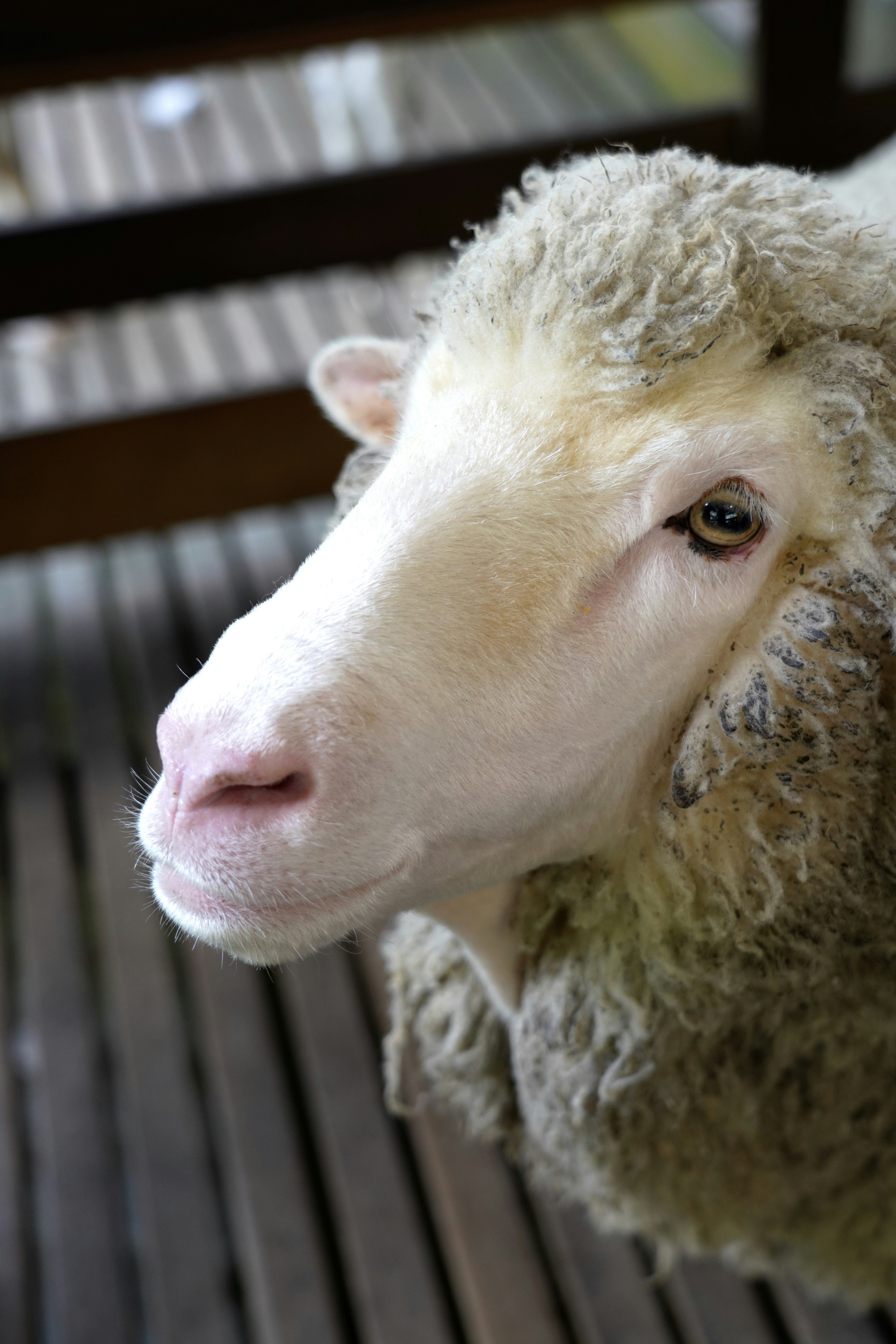 Photo by piscesglitch