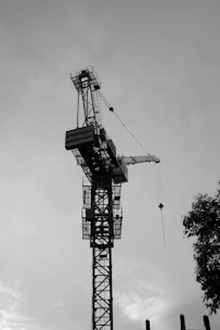 A black and white photo of a crane