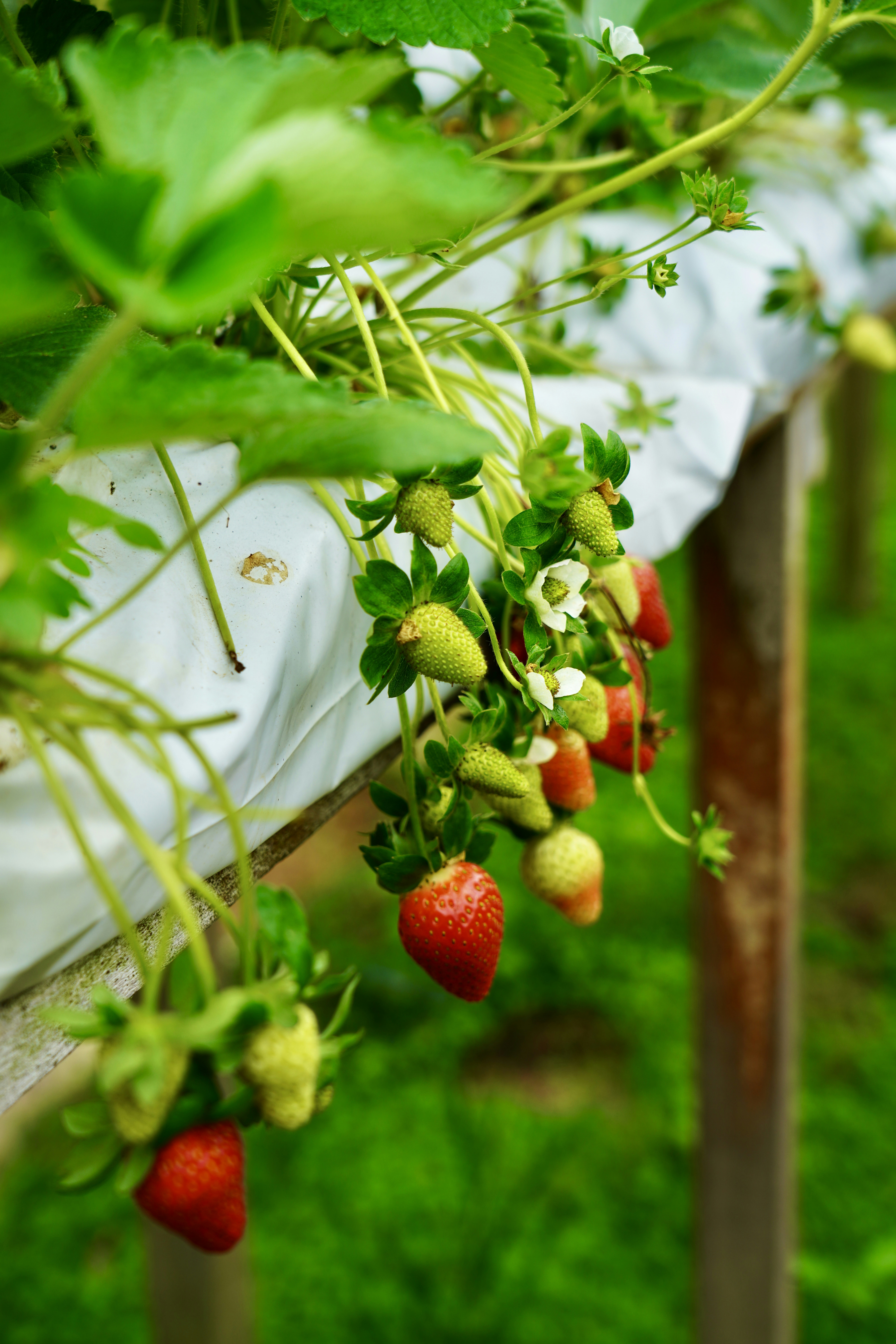 Photo by piscesglitch