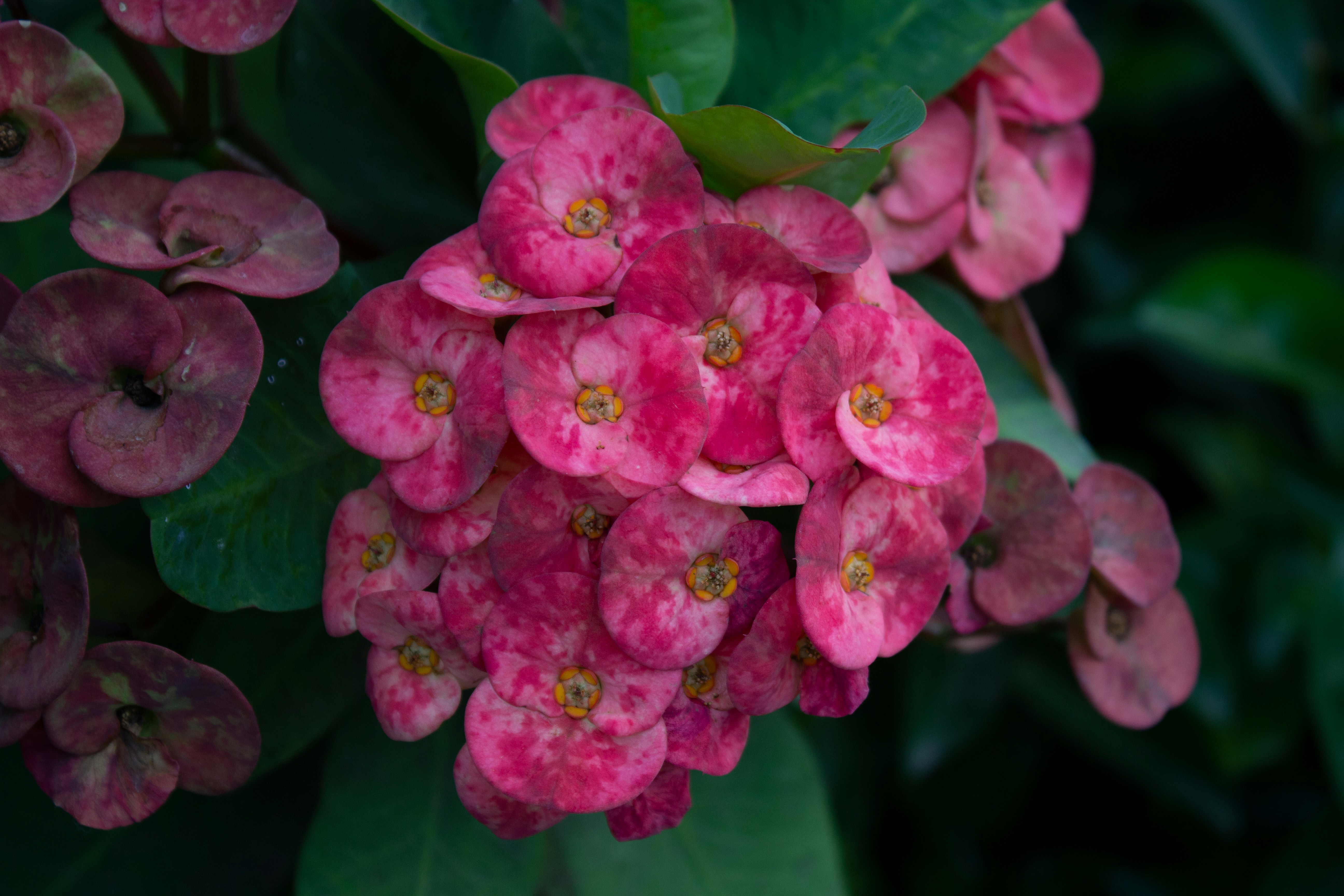 Photo by fundrisingformysonmedicalcondition