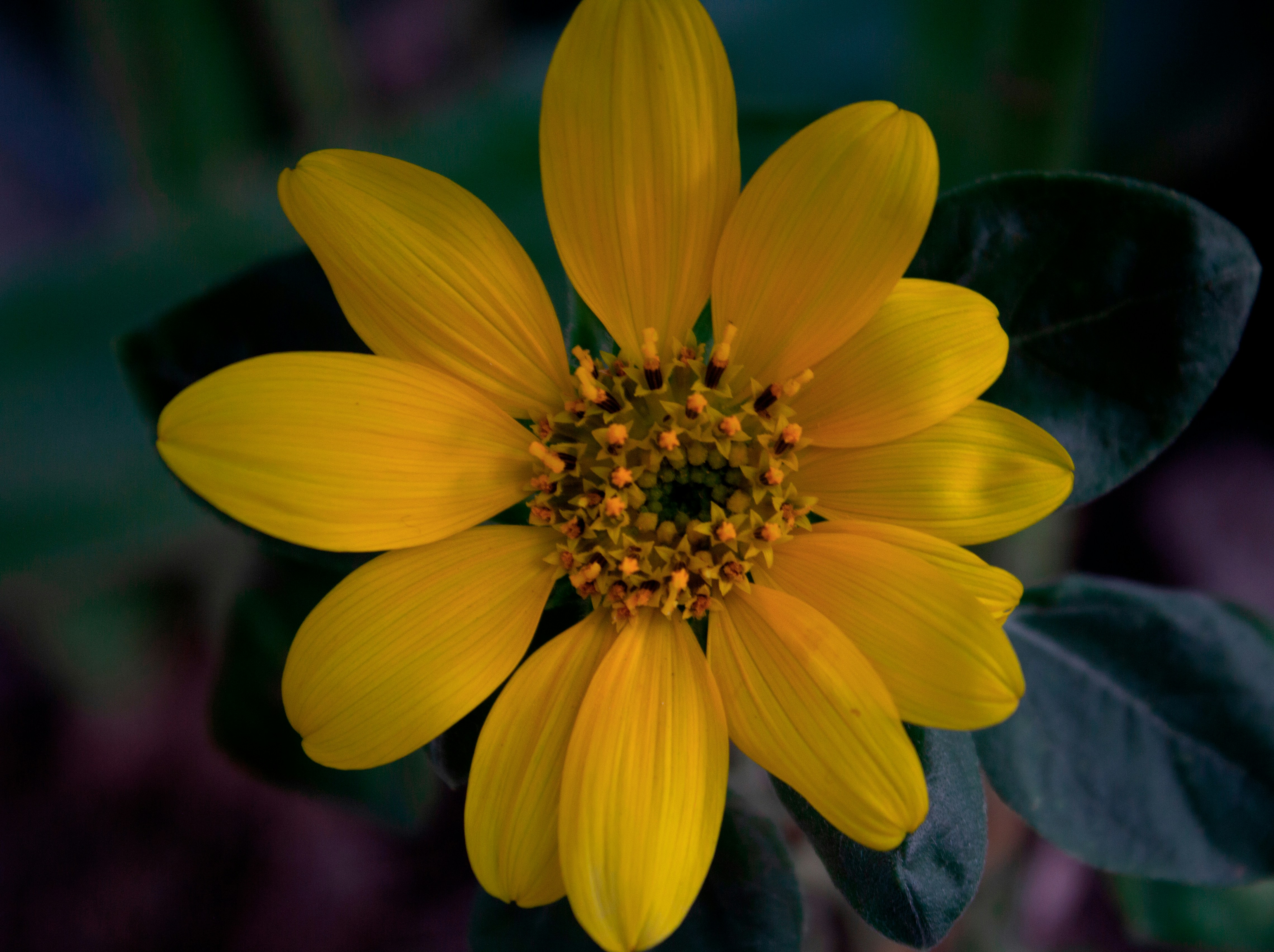 Photo by fundrisingformysonmedicalcondition