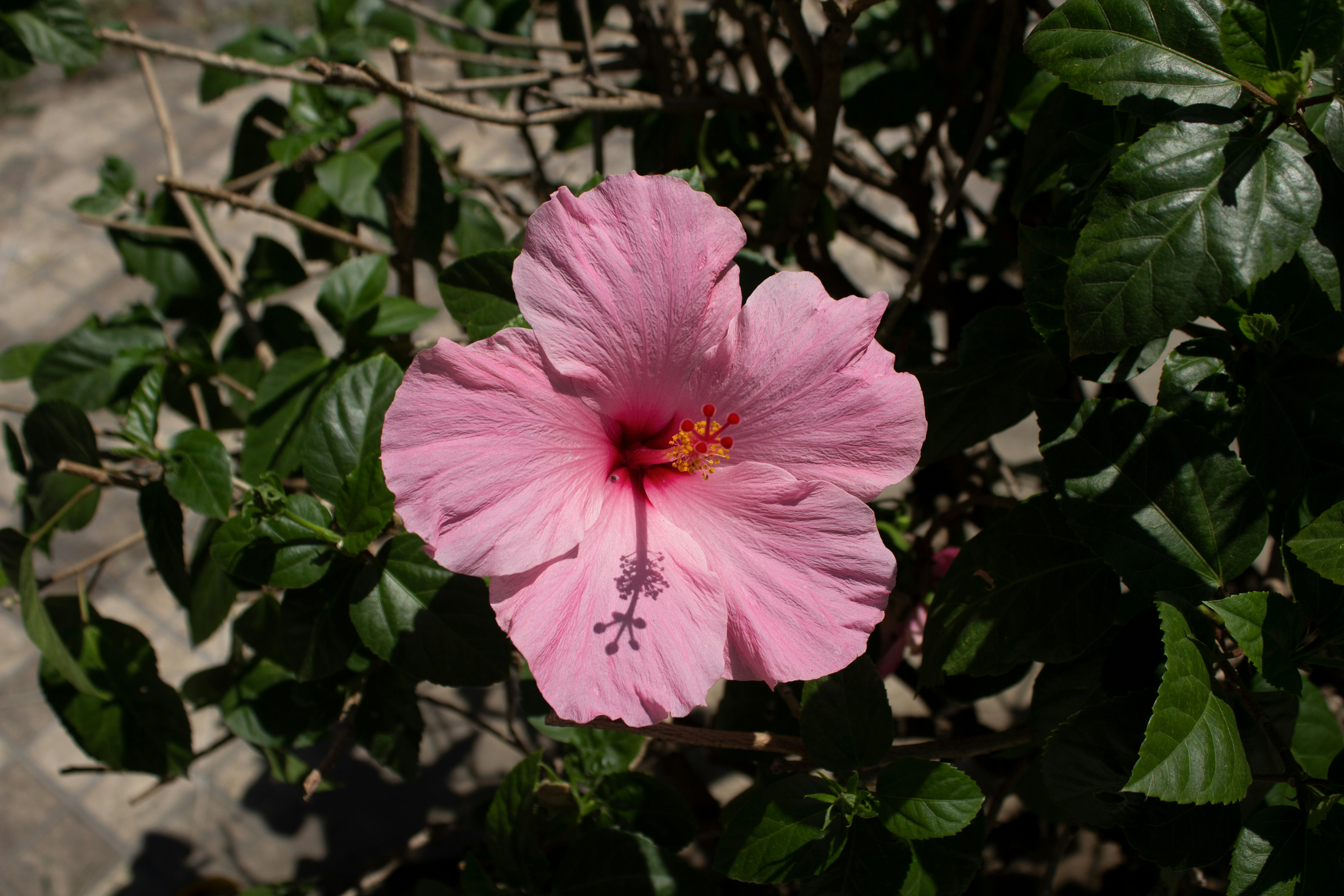 Photo by fundrisingformysonmedicalcondition